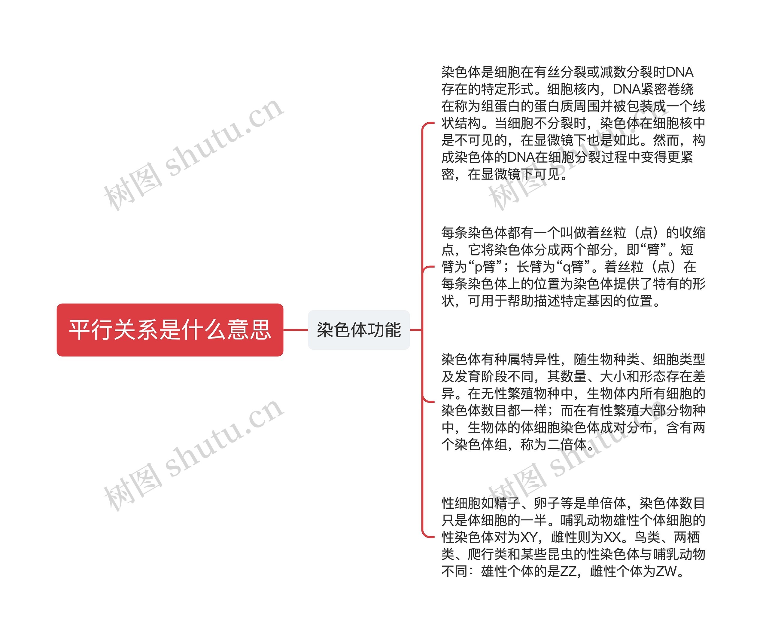 平行关系是什么意思