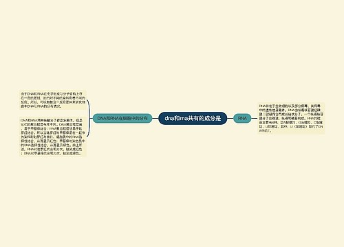 dna和rna共有的成分是