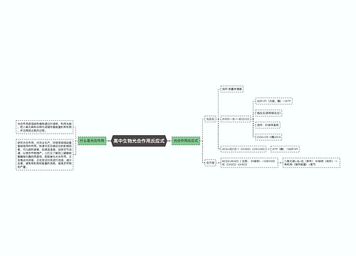 高中生物光合作用反应式