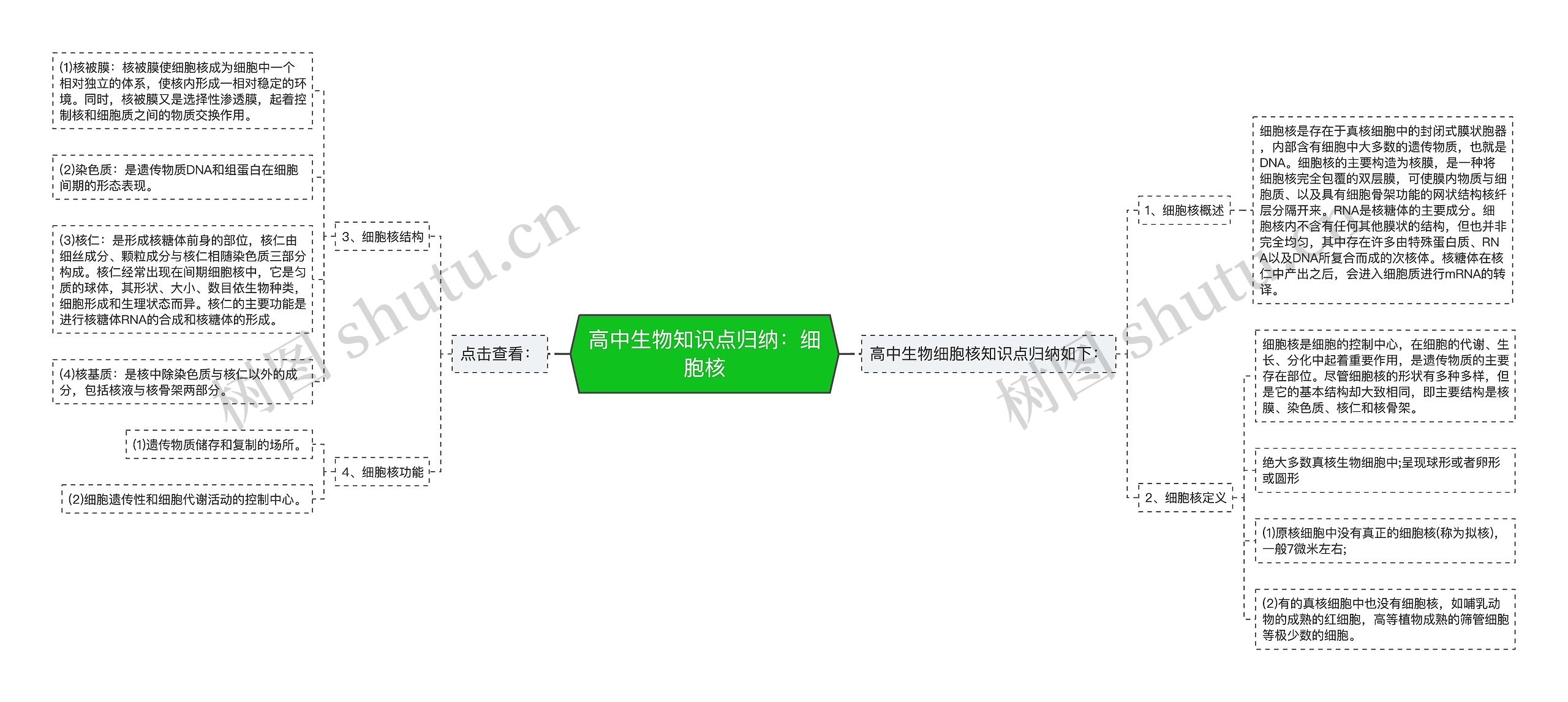 高中生物知识点归纳：细胞核