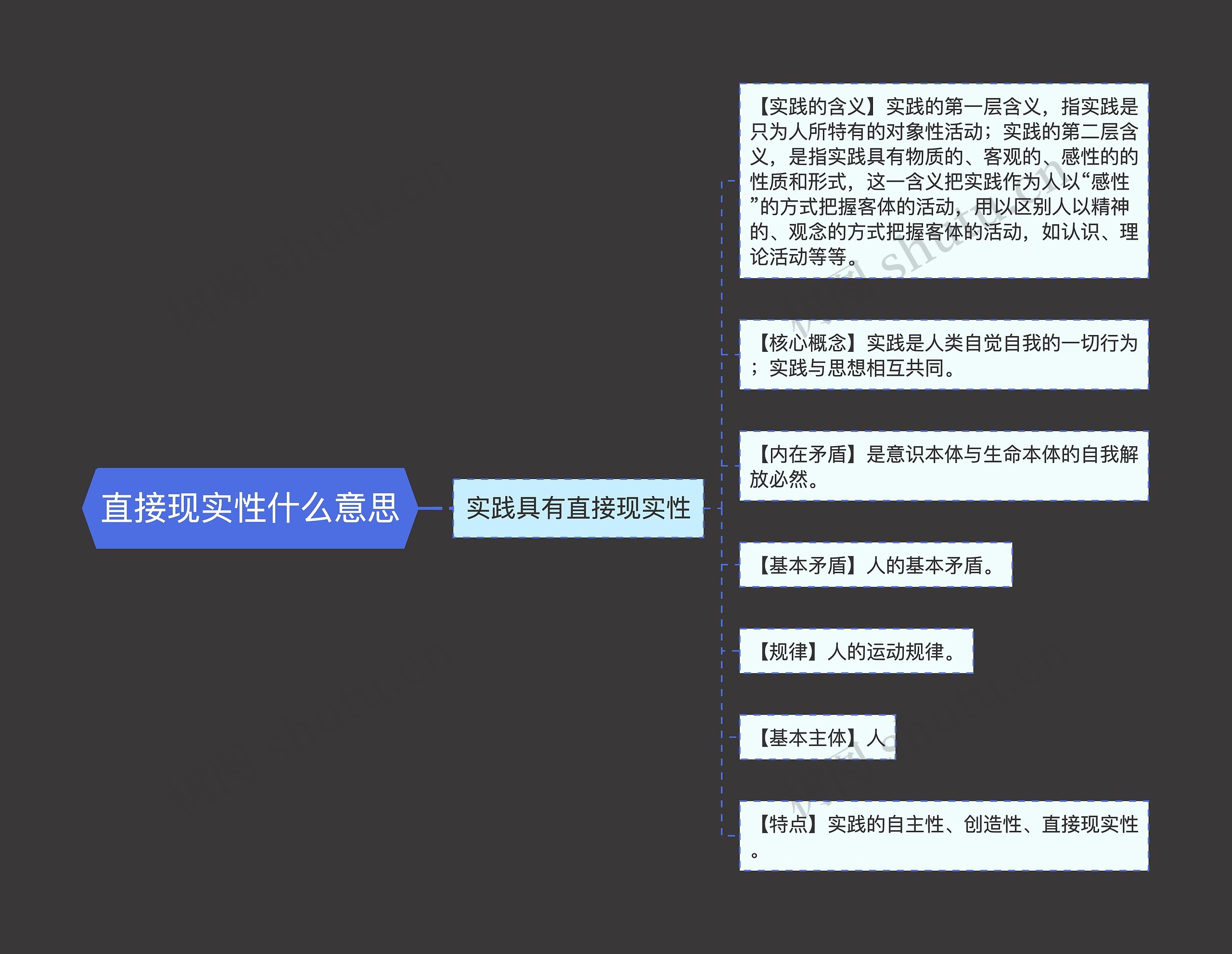 直接现实性什么意思思维导图