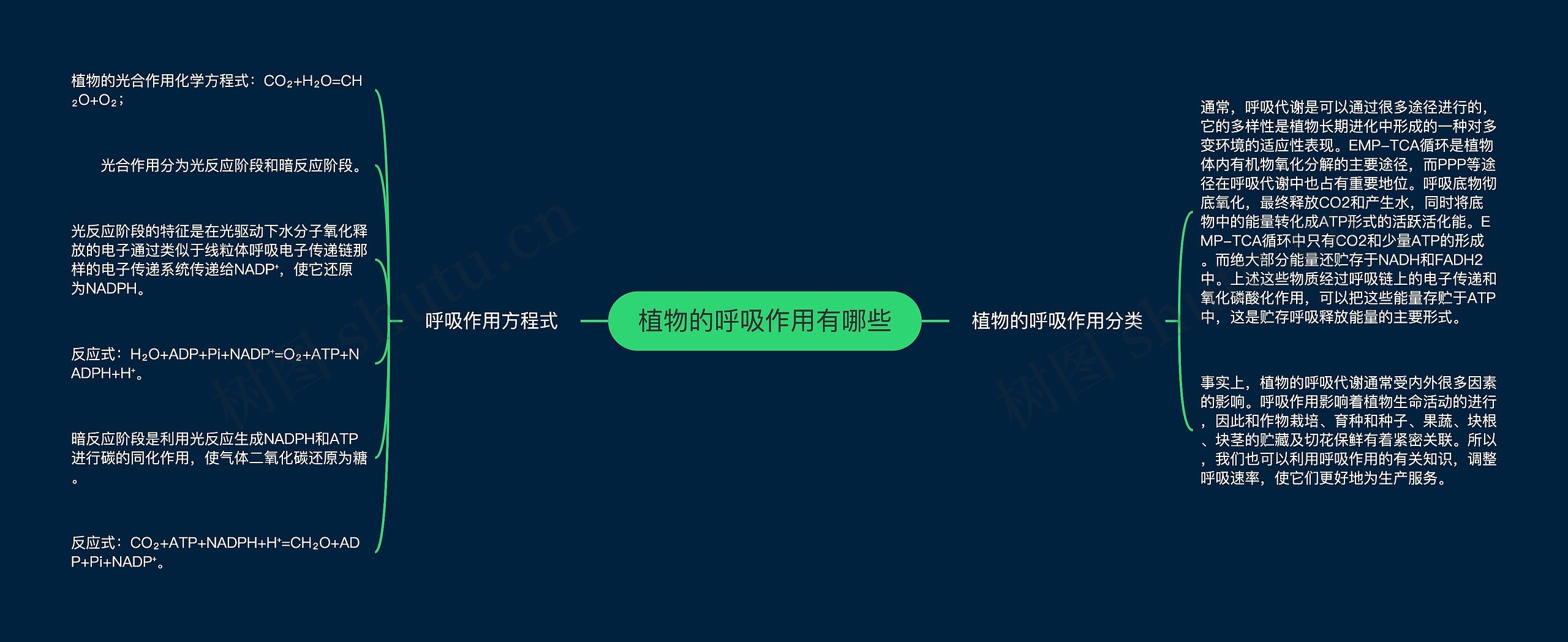 植物的呼吸作用有哪些 植物的呼吸作用有哪些