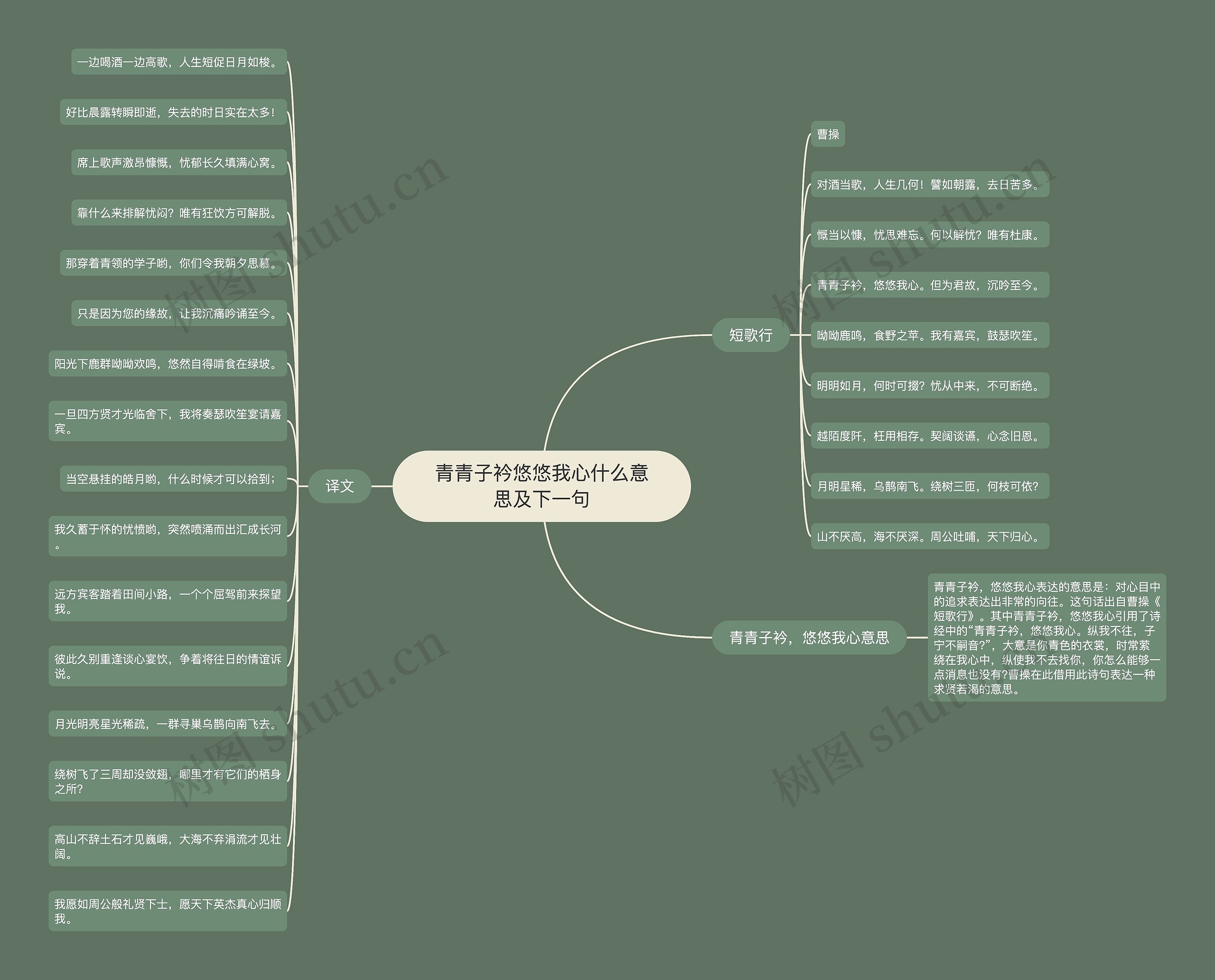 青青子衿悠悠我心什么意思及下一句思维导图