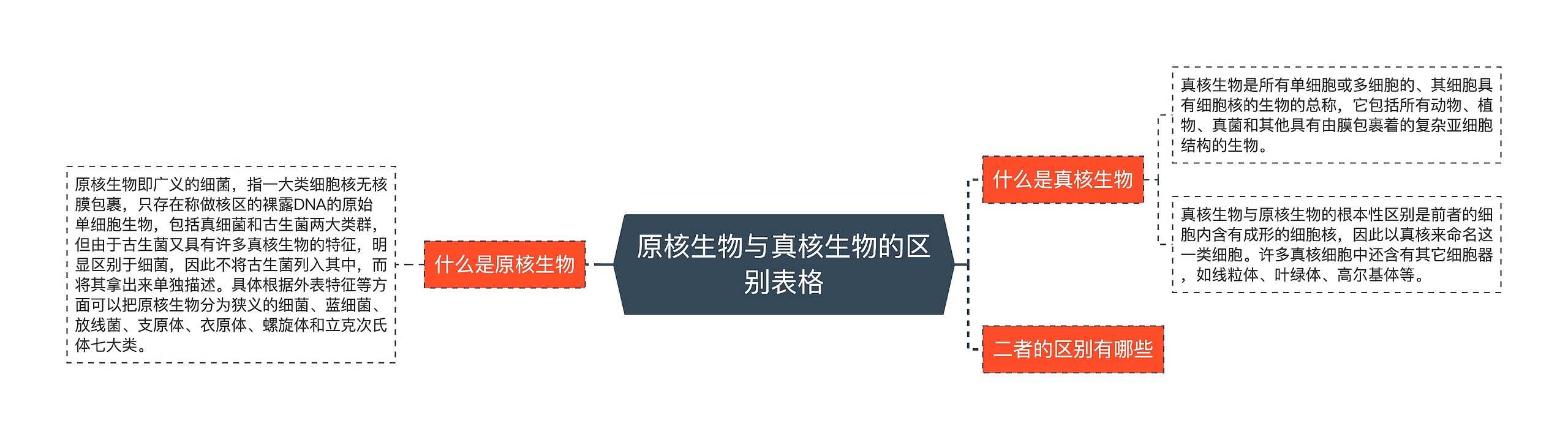 原核生物与真核生物的区别表格思维导图