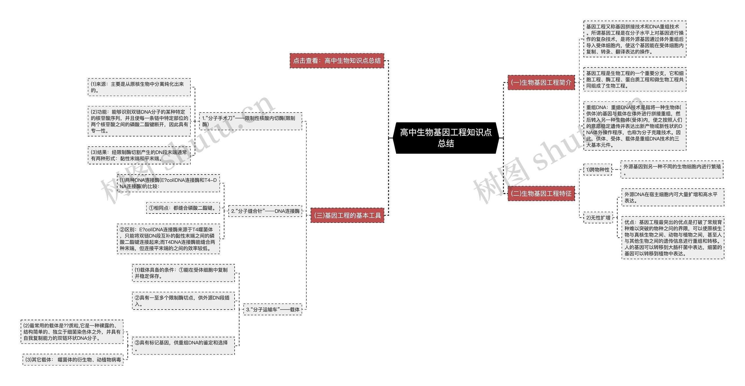 高中生物基因工程知识点总结思维导图