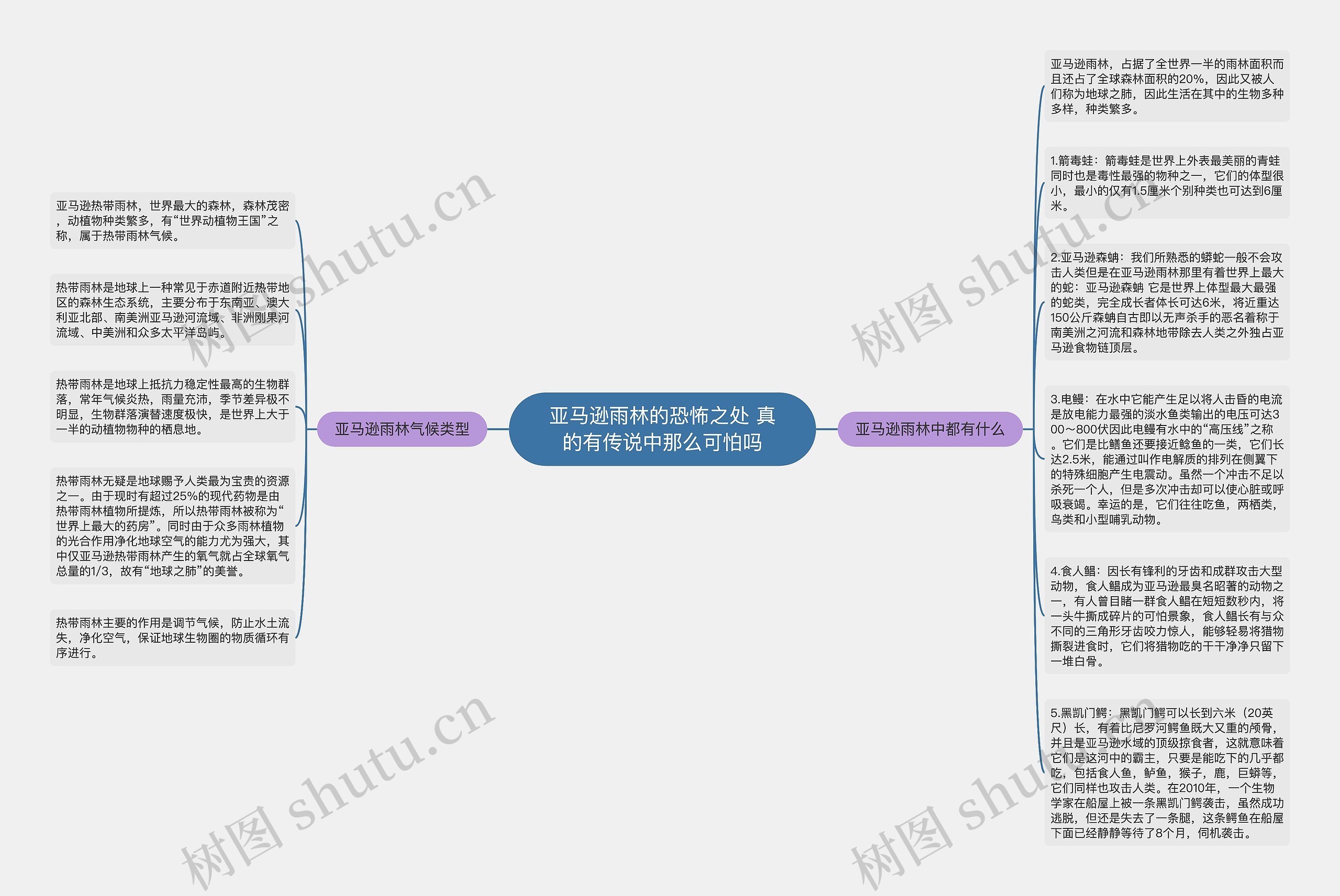 亚马逊雨林的恐怖之处 真的有传说中那么可怕吗思维导图