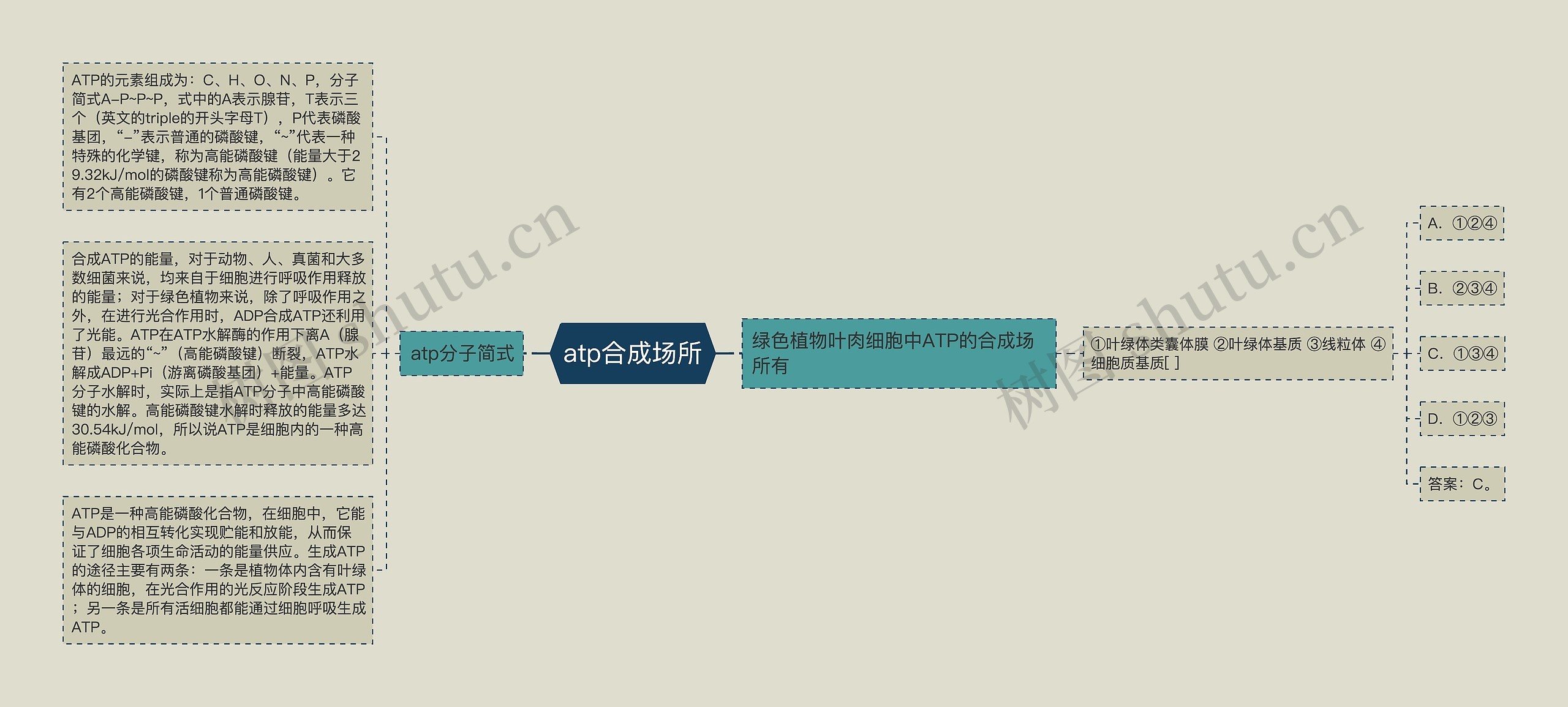 atp合成场所思维导图