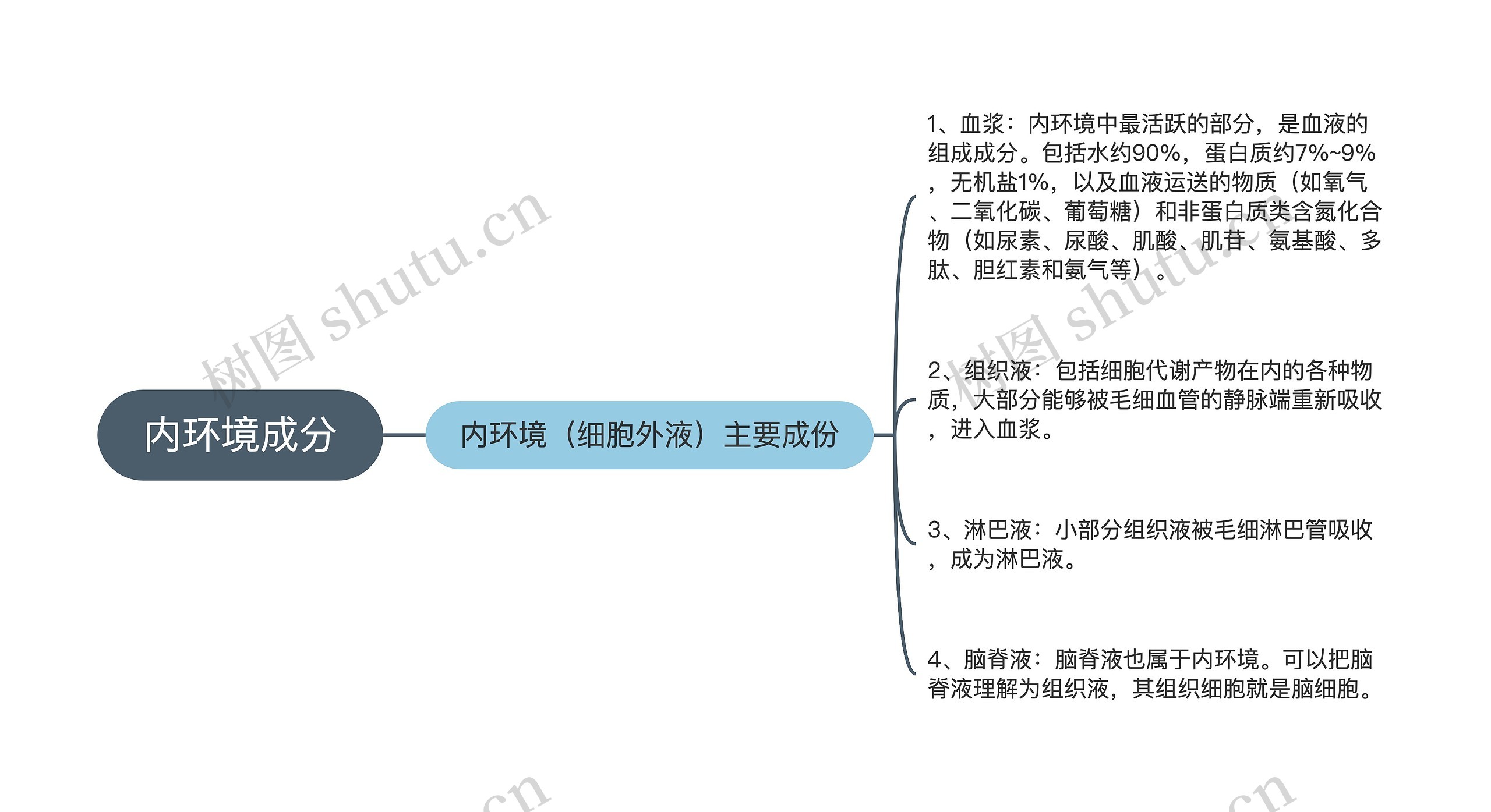 内环境成分思维导图