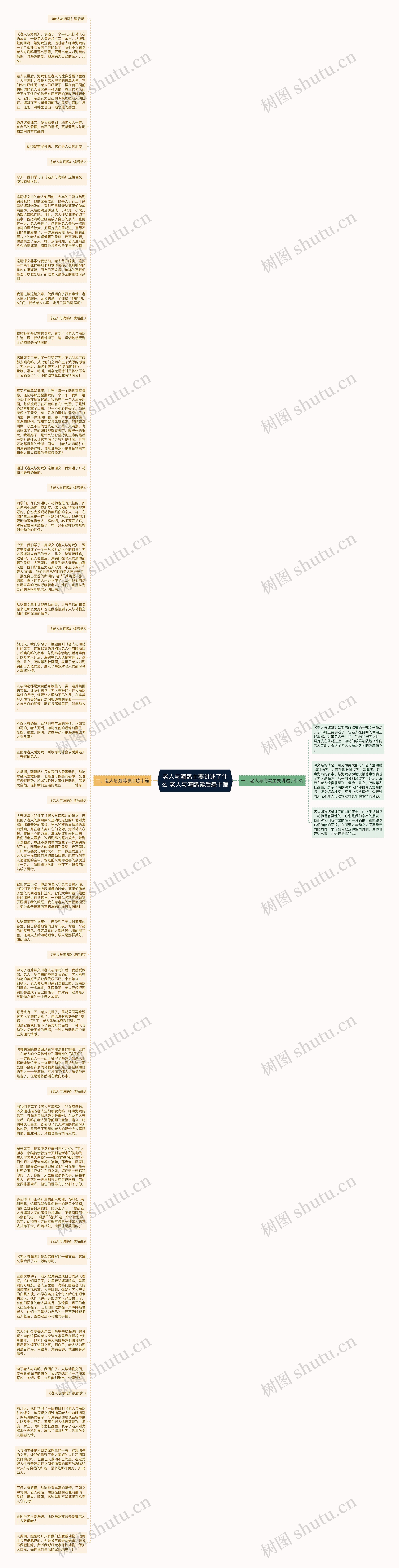 老人与海鸥主要讲述了什么 老人与海鸥读后感十篇思维导图