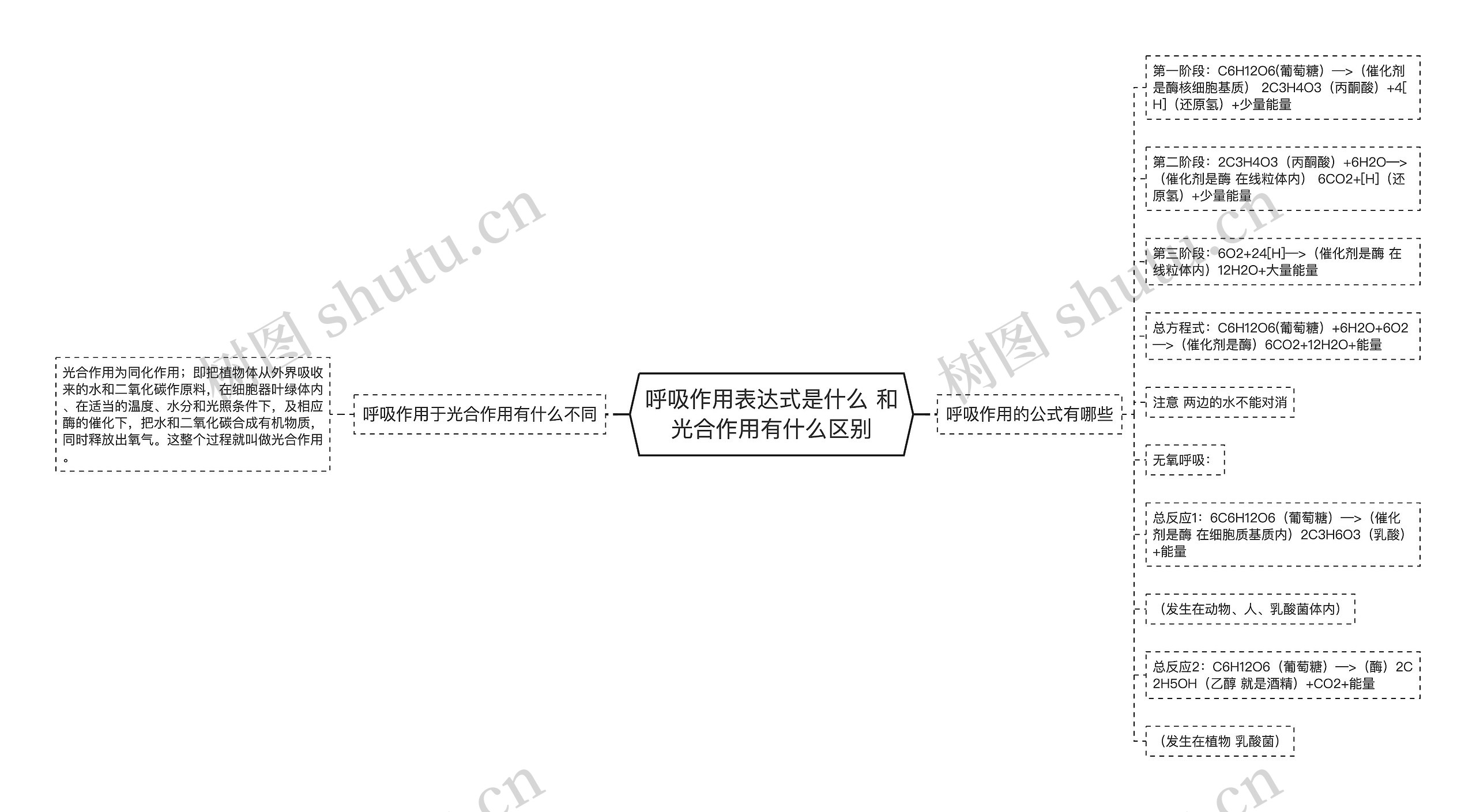 呼吸作用表达式是什么 和光合作用有什么区别思维导图