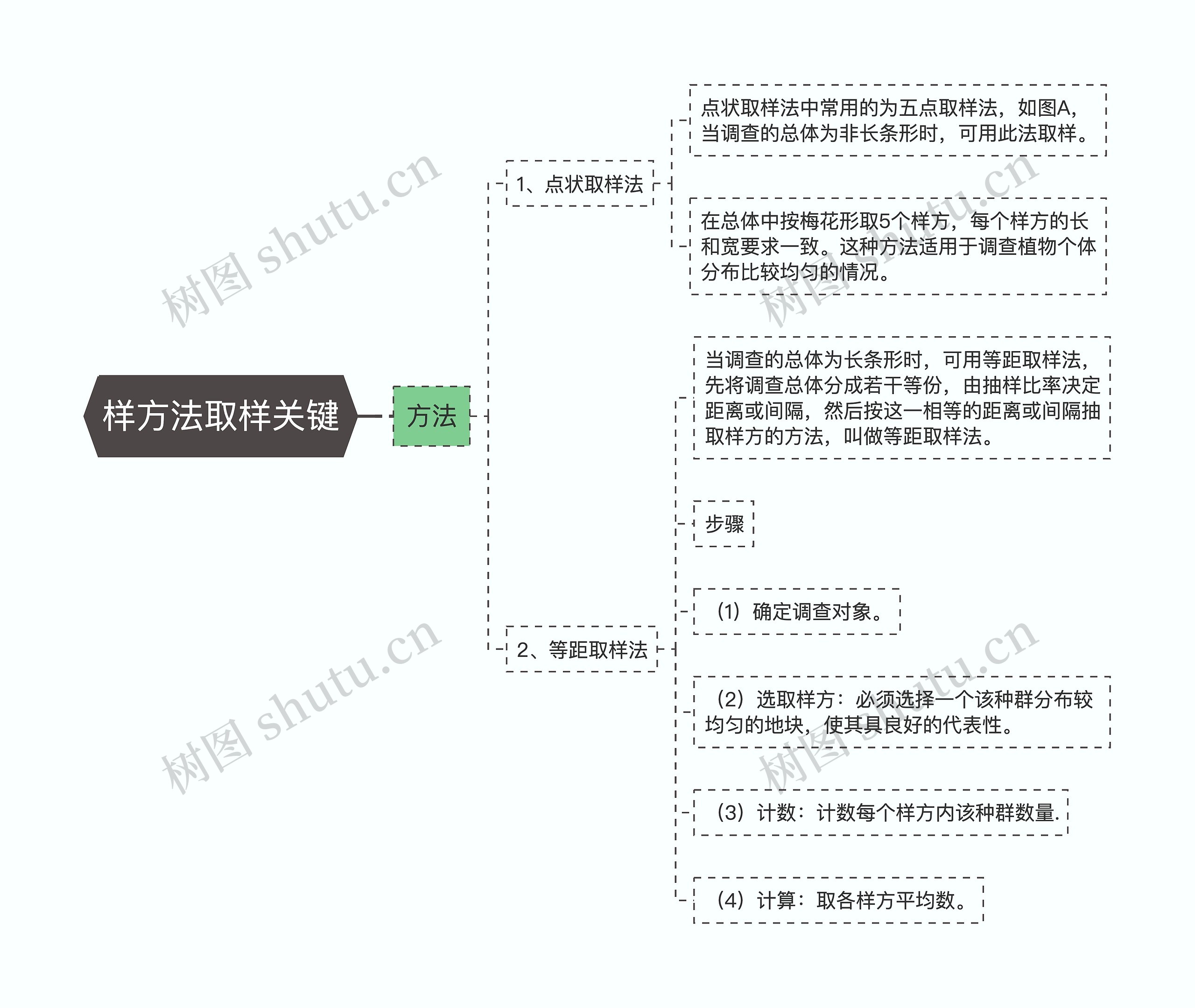 样方法取样关键思维导图