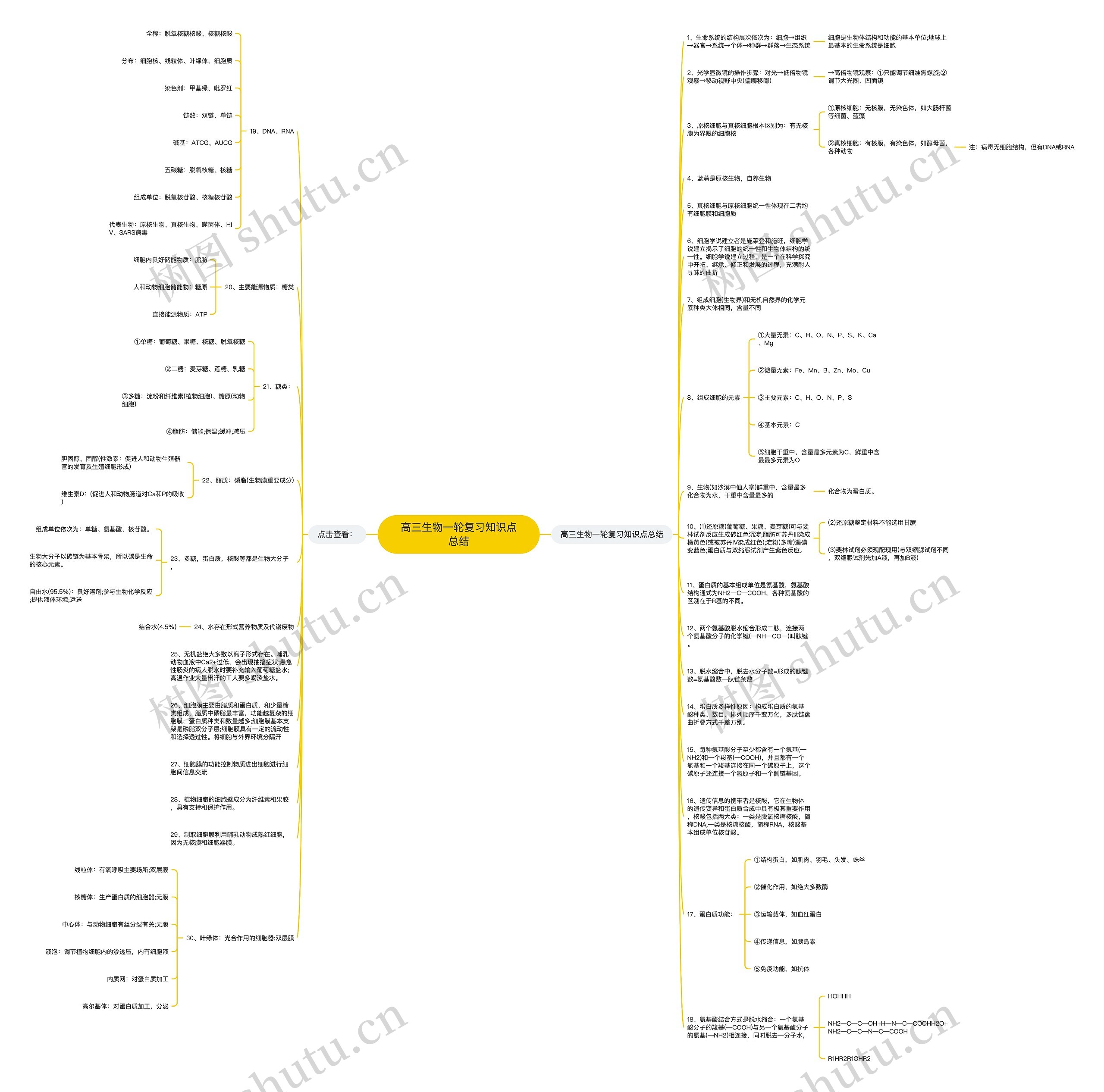 高三生物一轮复习知识点总结思维导图