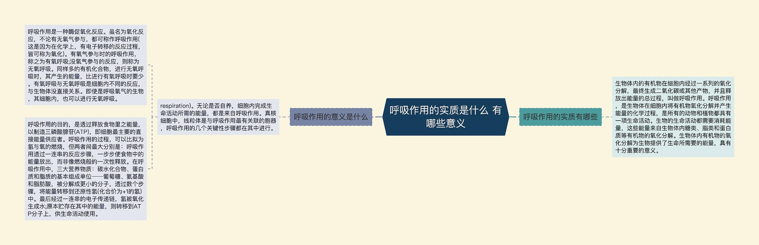 呼吸作用的实质是什么 有哪些意义思维导图高清图 呼吸作用的实质是什么 有哪些意义思维导图