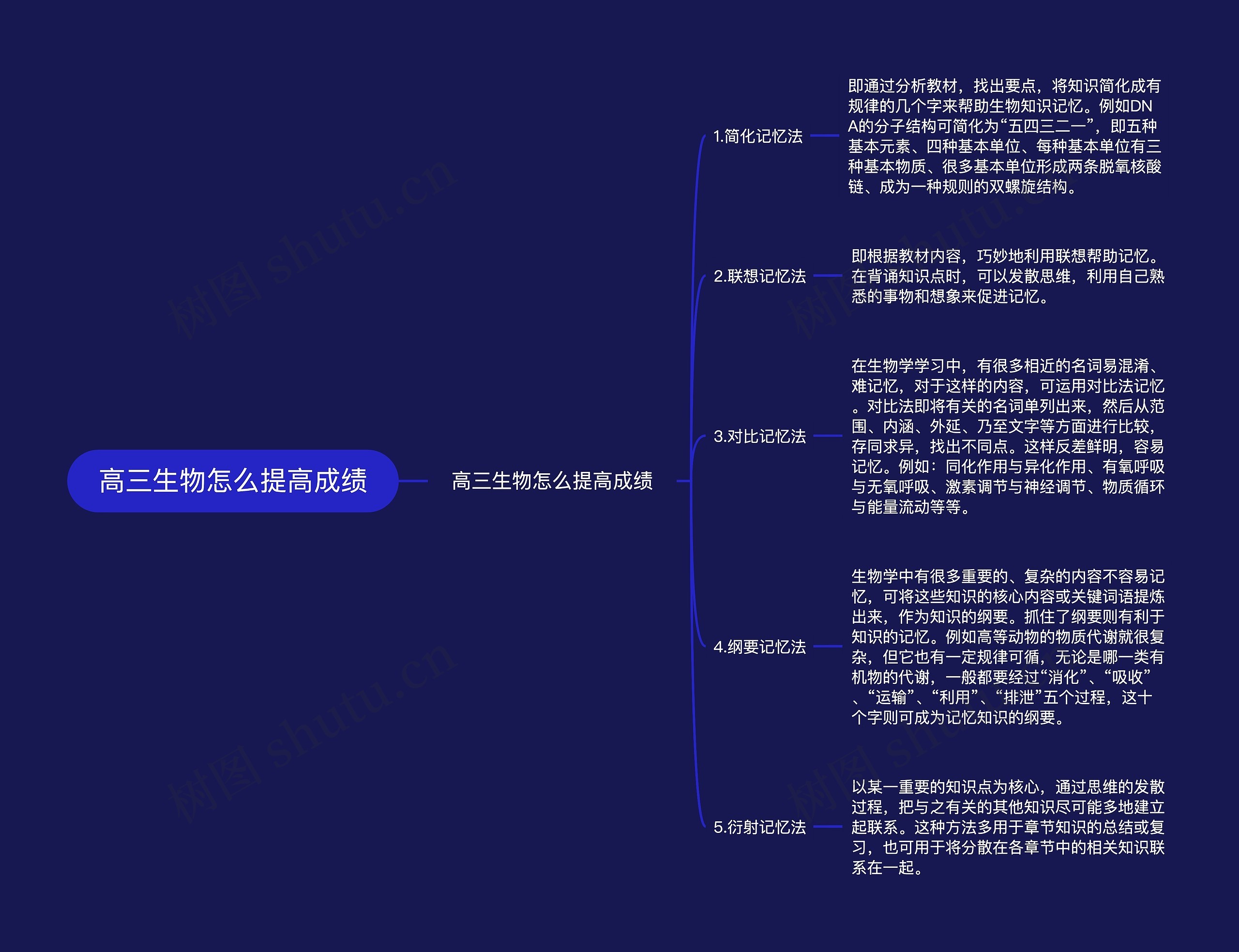 高三生物怎么提高成绩