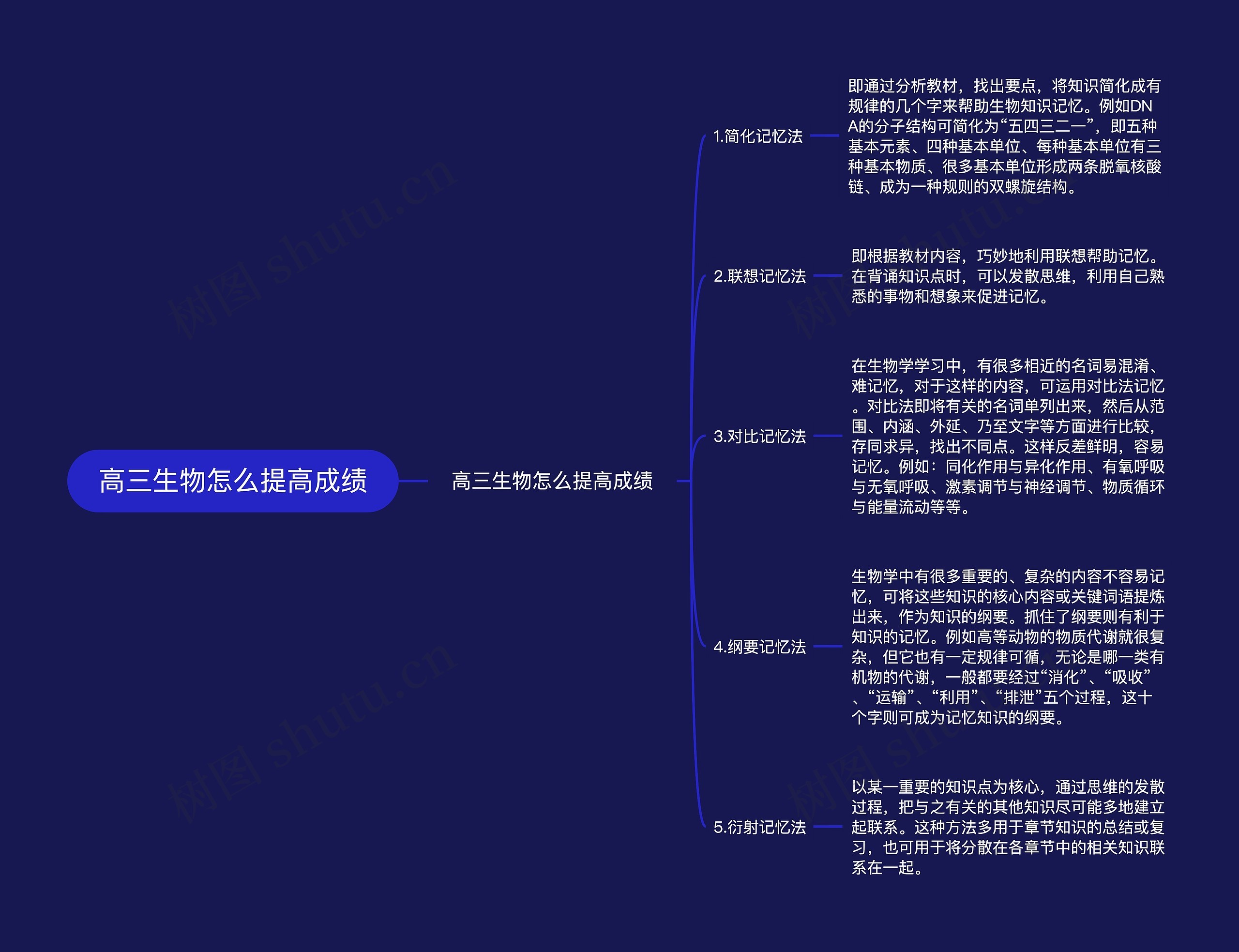 高三生物怎么提高成绩思维导图