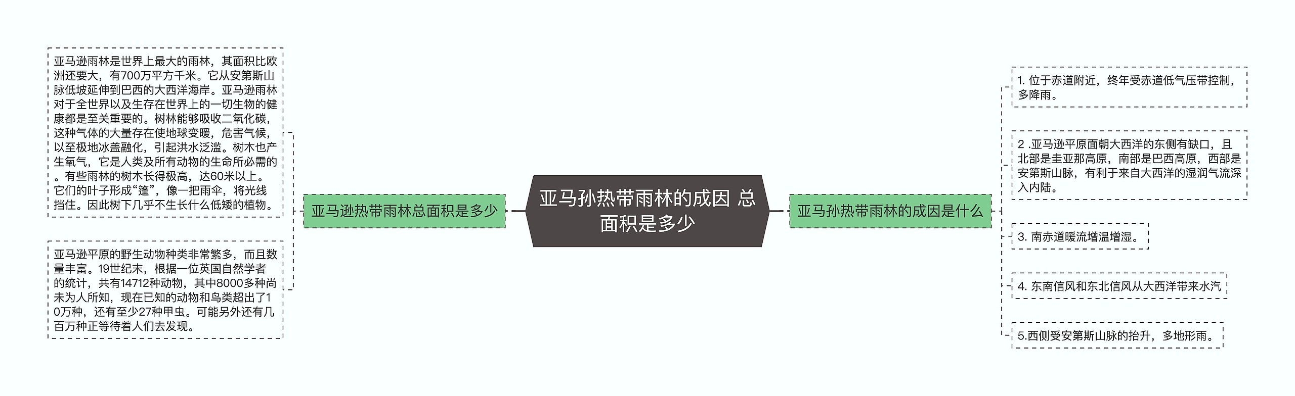 亚马孙热带雨林的成因 总面积是多少思维导图