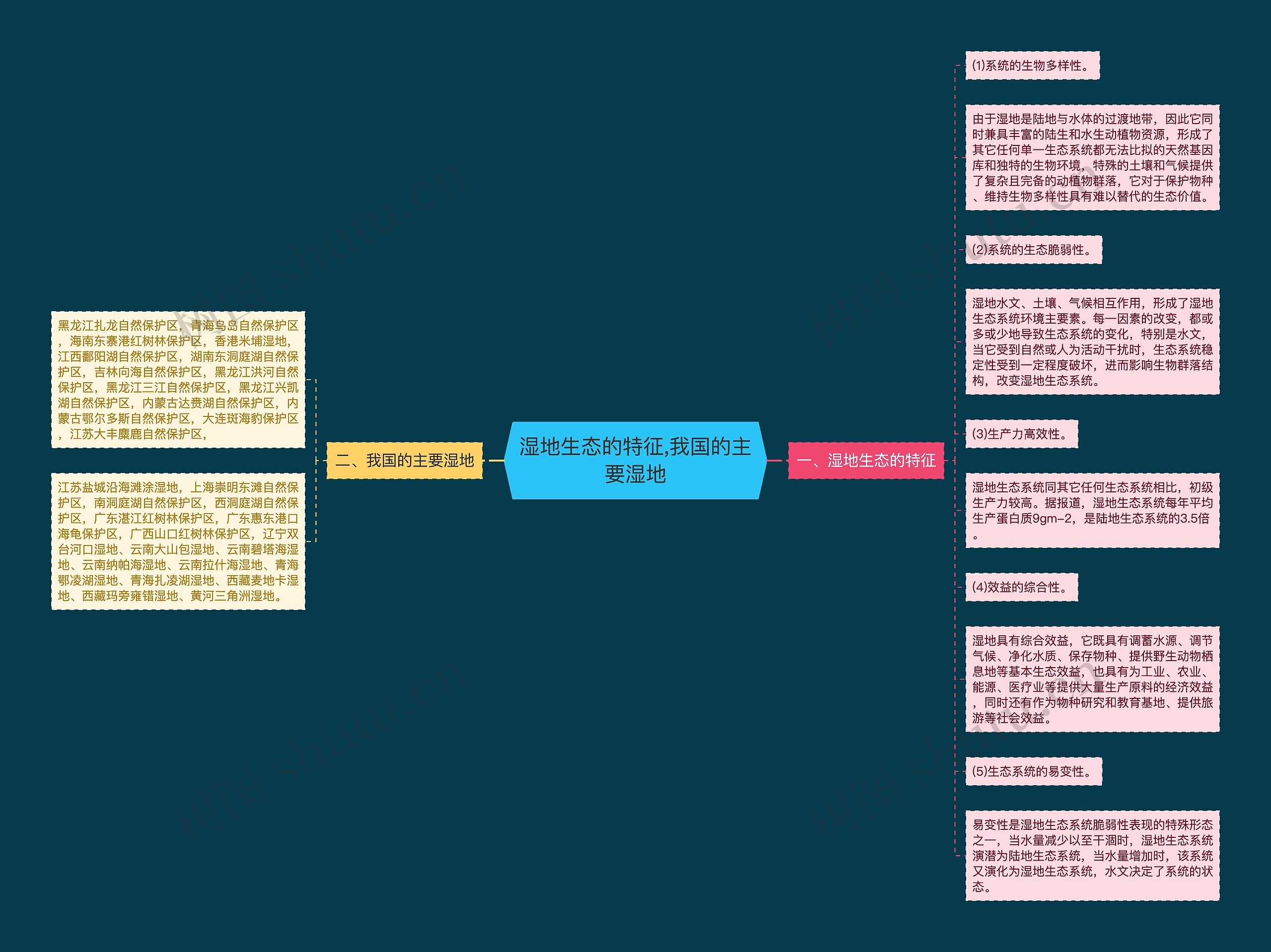 湿地生态的特征,我国的主要湿地思维导图