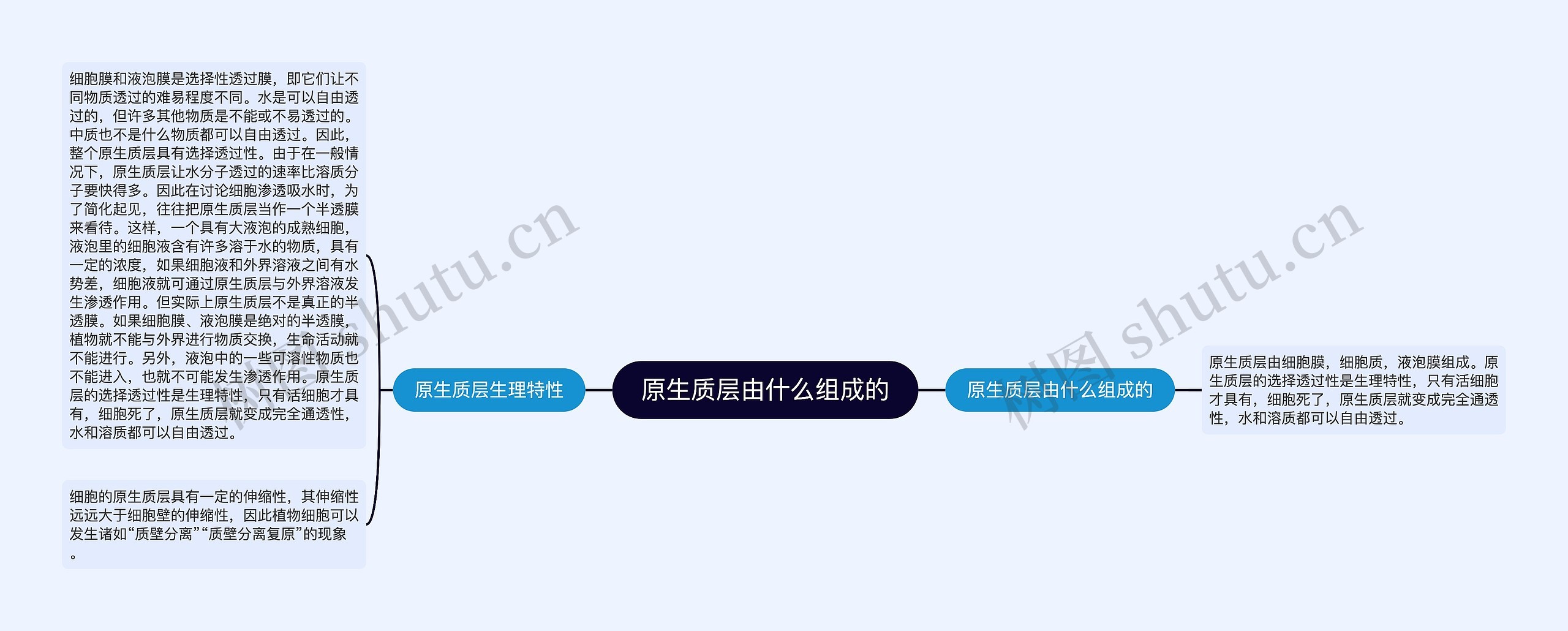 原生质层由什么组成的