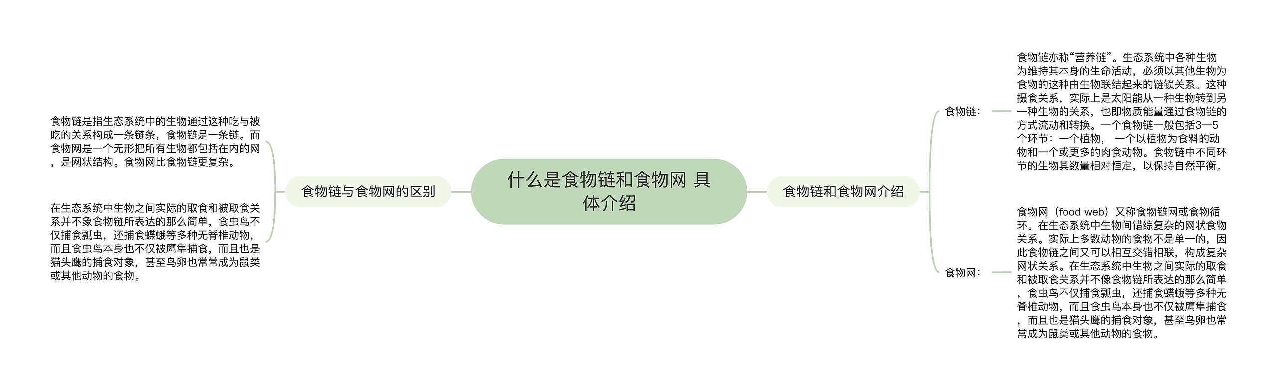 什么是食物链和食物网 具体介绍