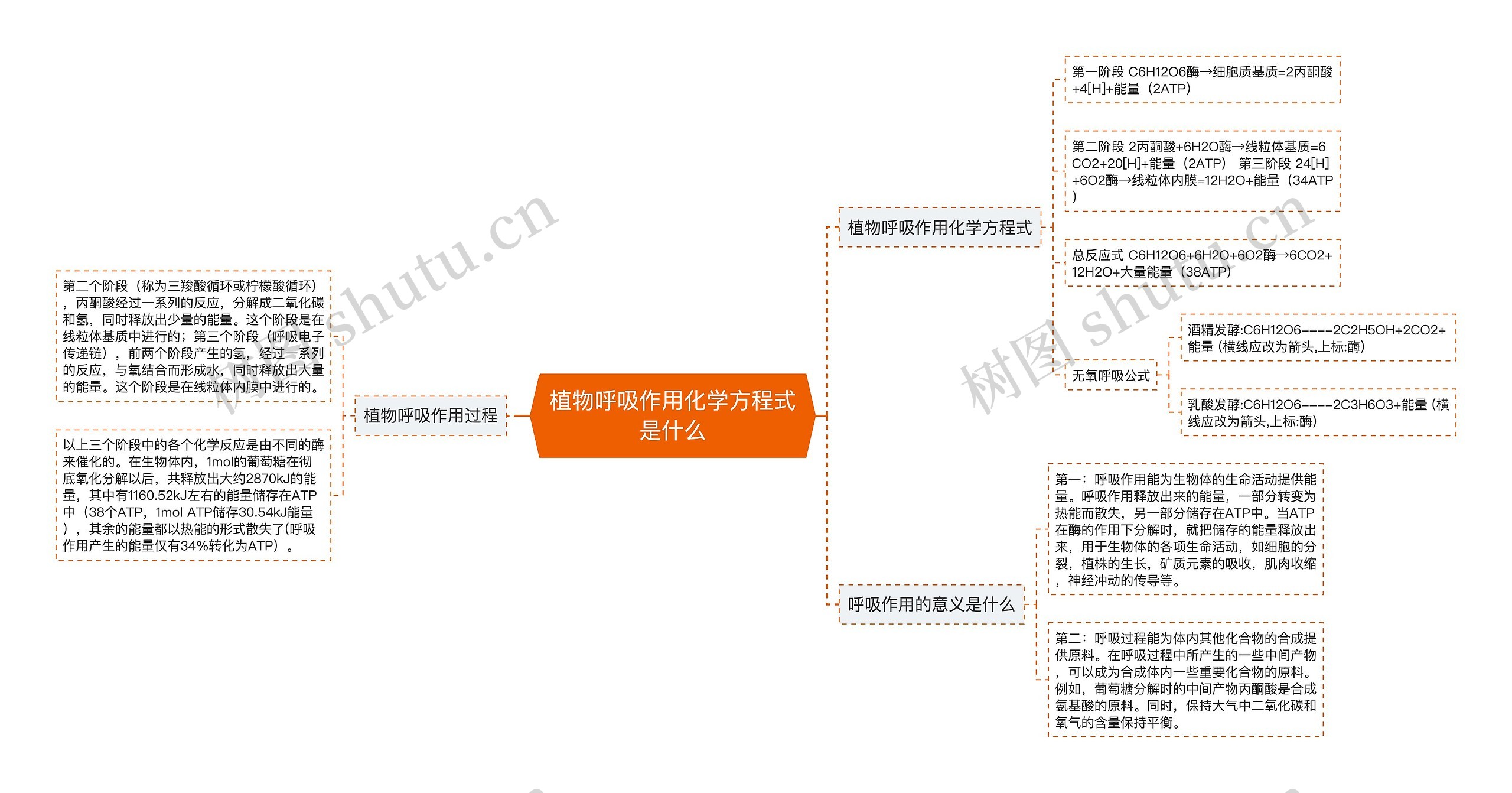 植物呼吸作用化学方程式是什么