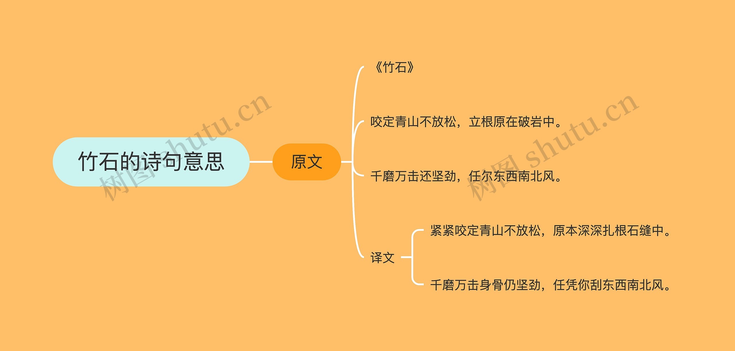 竹石的诗句意思思维导图