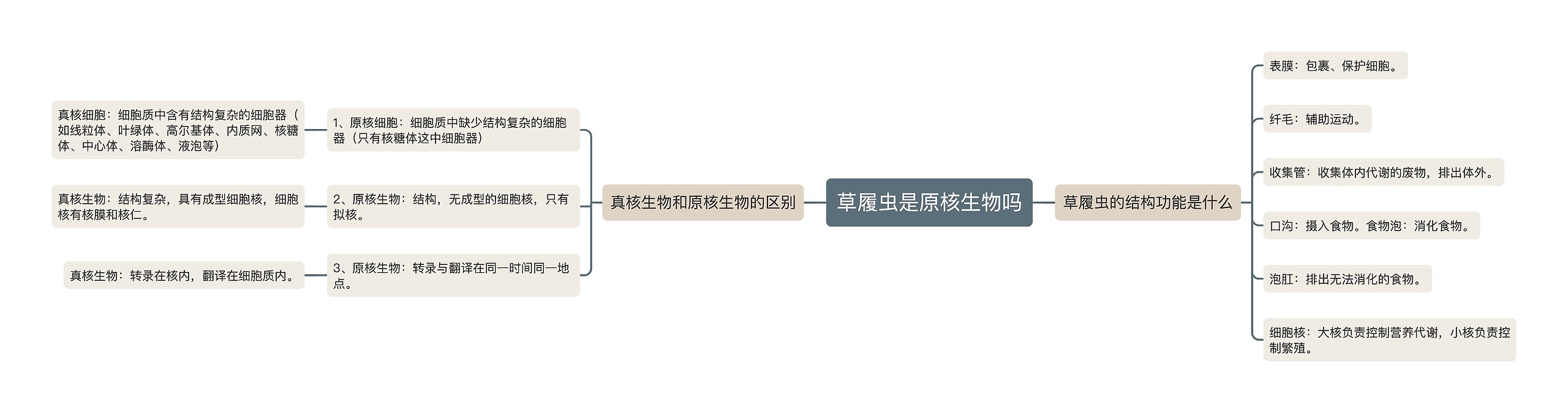 草履虫是原核生物吗思维导图