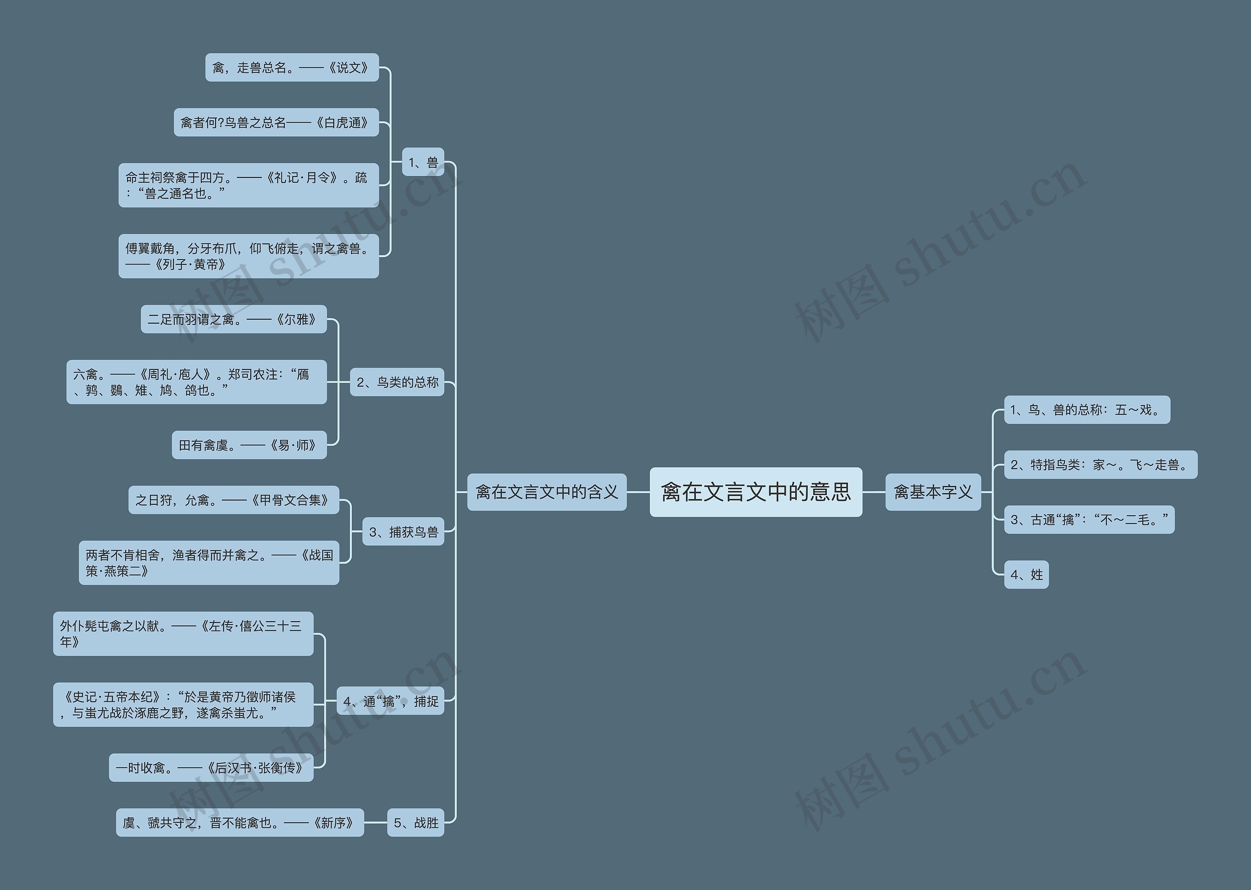 禽在文言文中的意思思维导图
