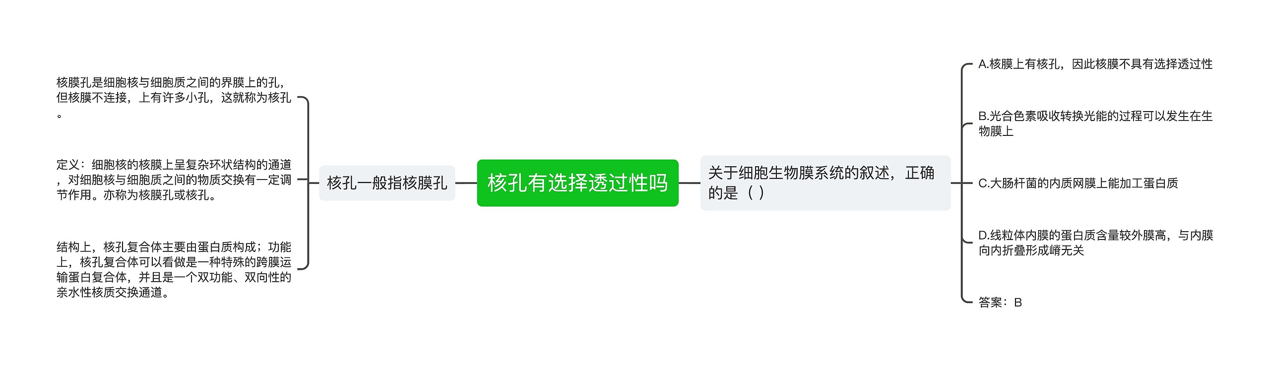 核孔有选择透过性吗 核孔有选择透过性吗