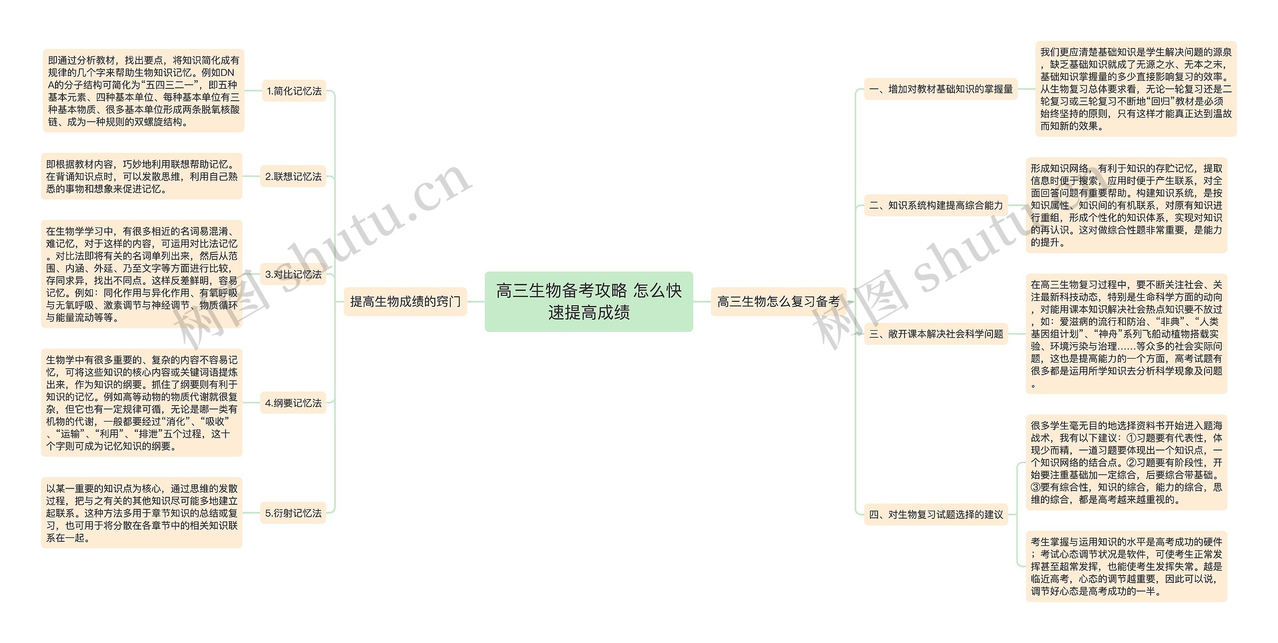 高三生物备考攻略 怎么快速提高成绩思维导图