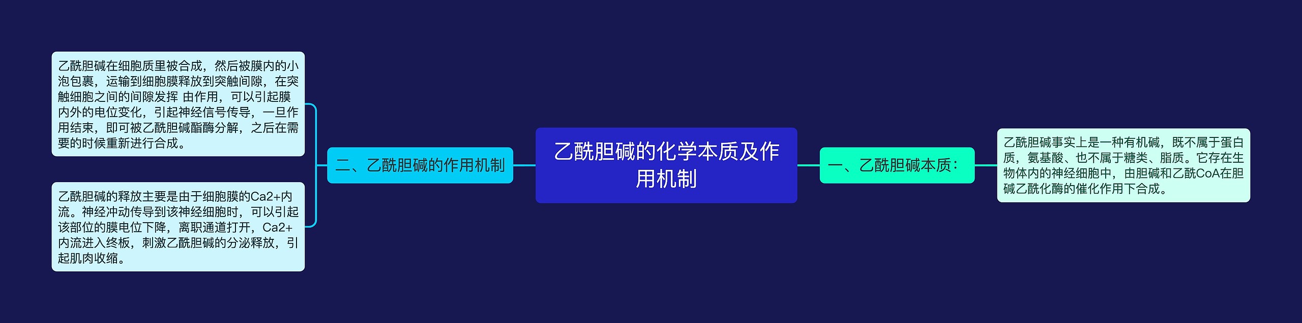 乙酰胆碱的化学本质及作用机制