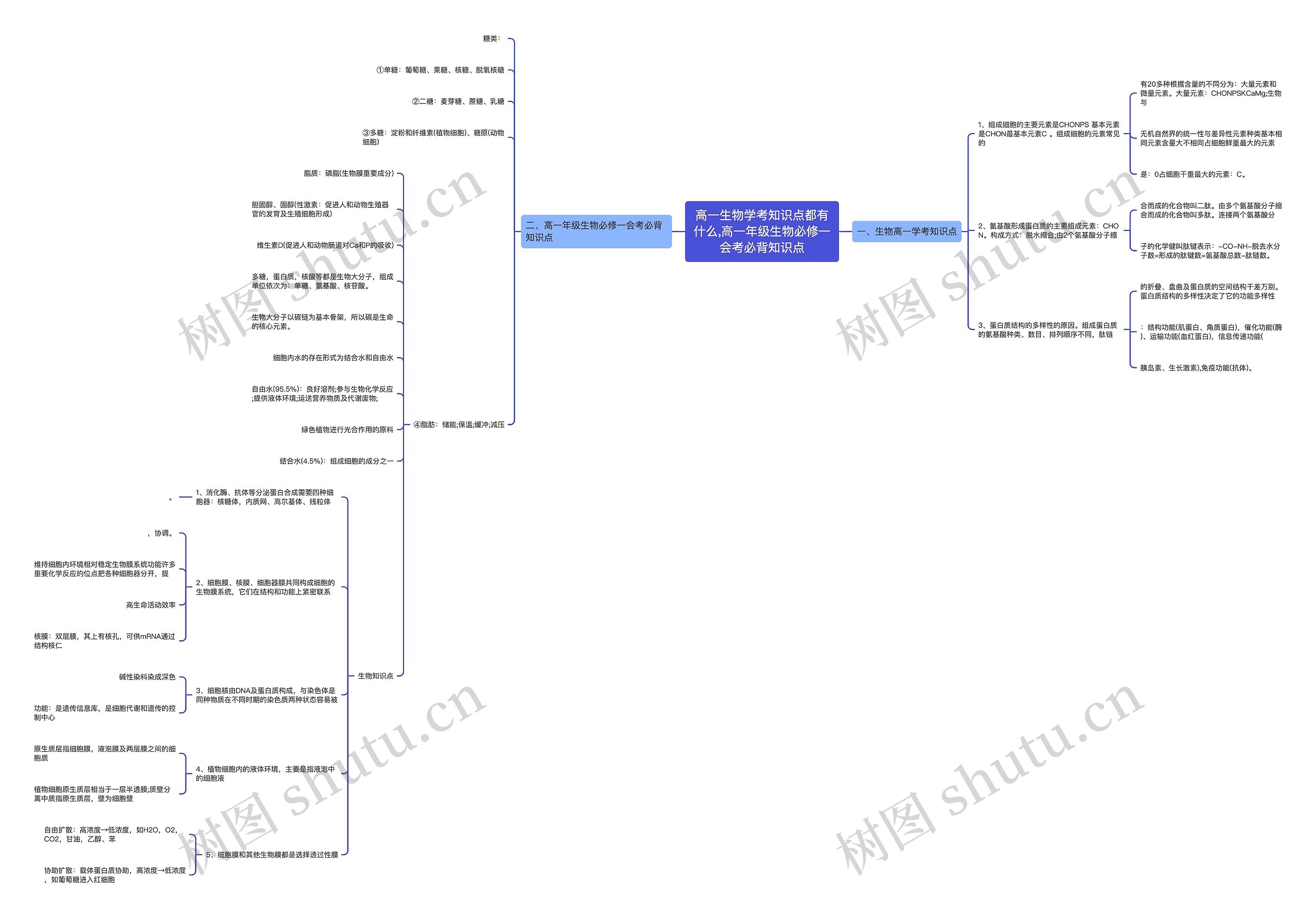 高一生物学考知识点都有什么,高一年级生物必修一会考必背知识点思维导图