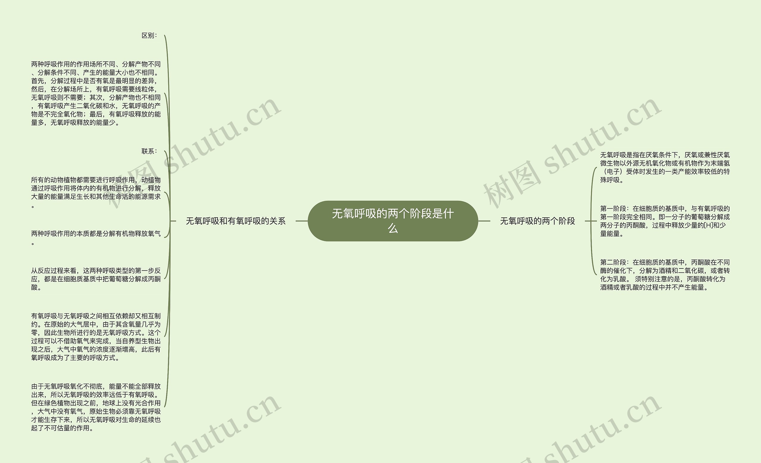 无氧呼吸的两个阶段是什么