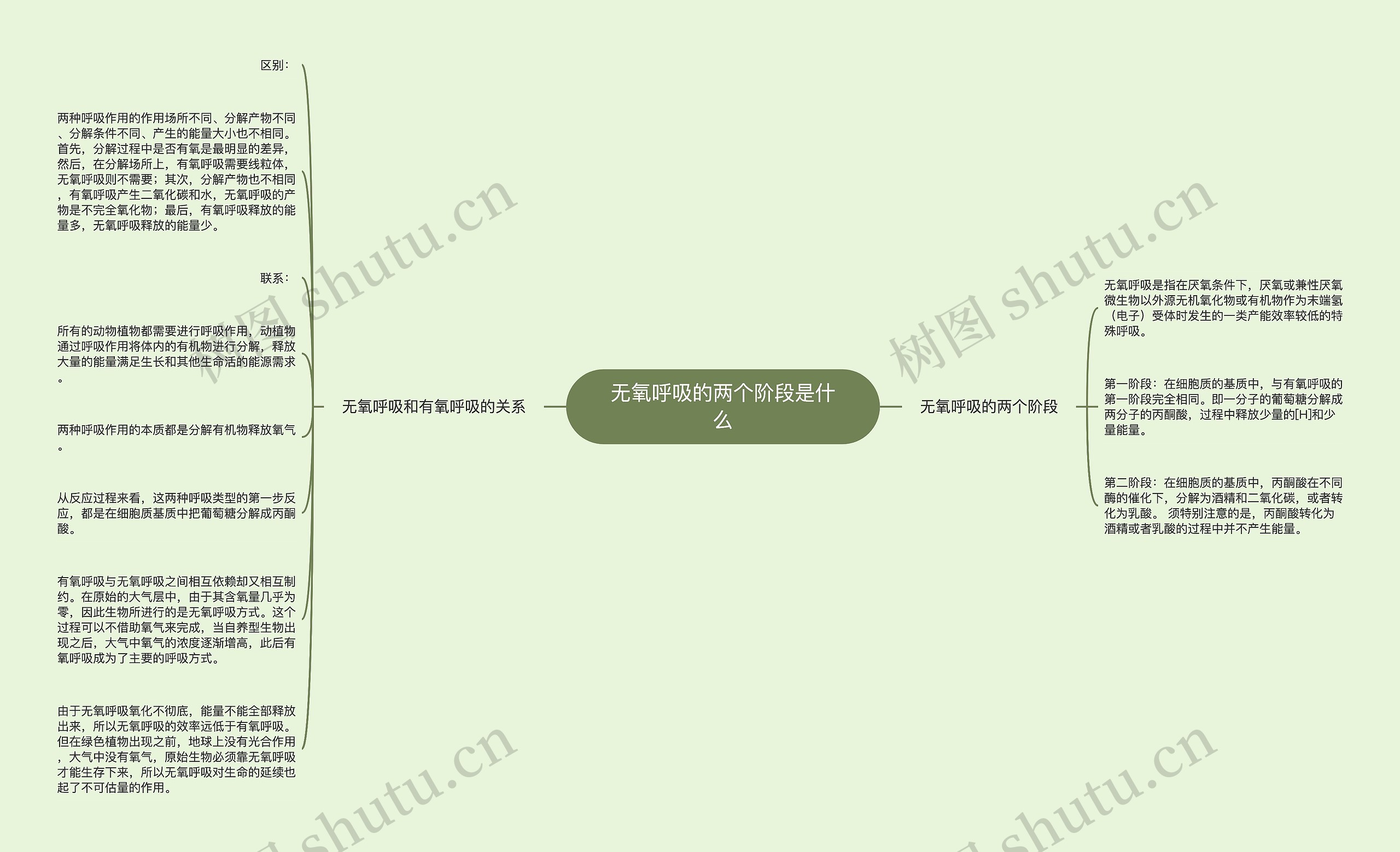 无氧呼吸的两个阶段是什么思维导图