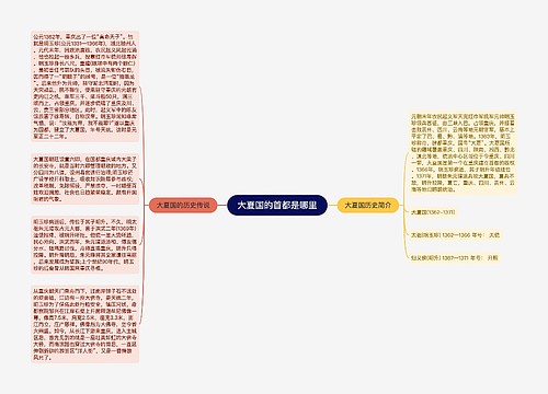 大夏国的首都是哪里