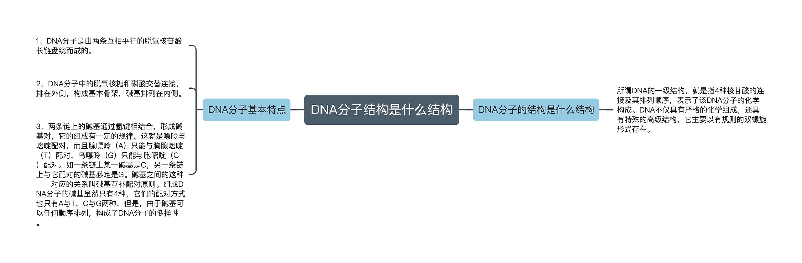 DNA分子结构是什么结构思维导图