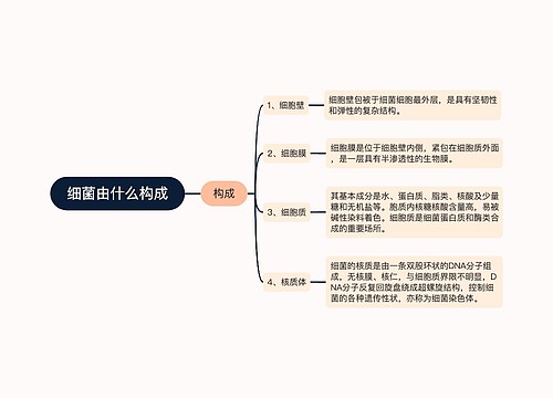 细菌由什么构成