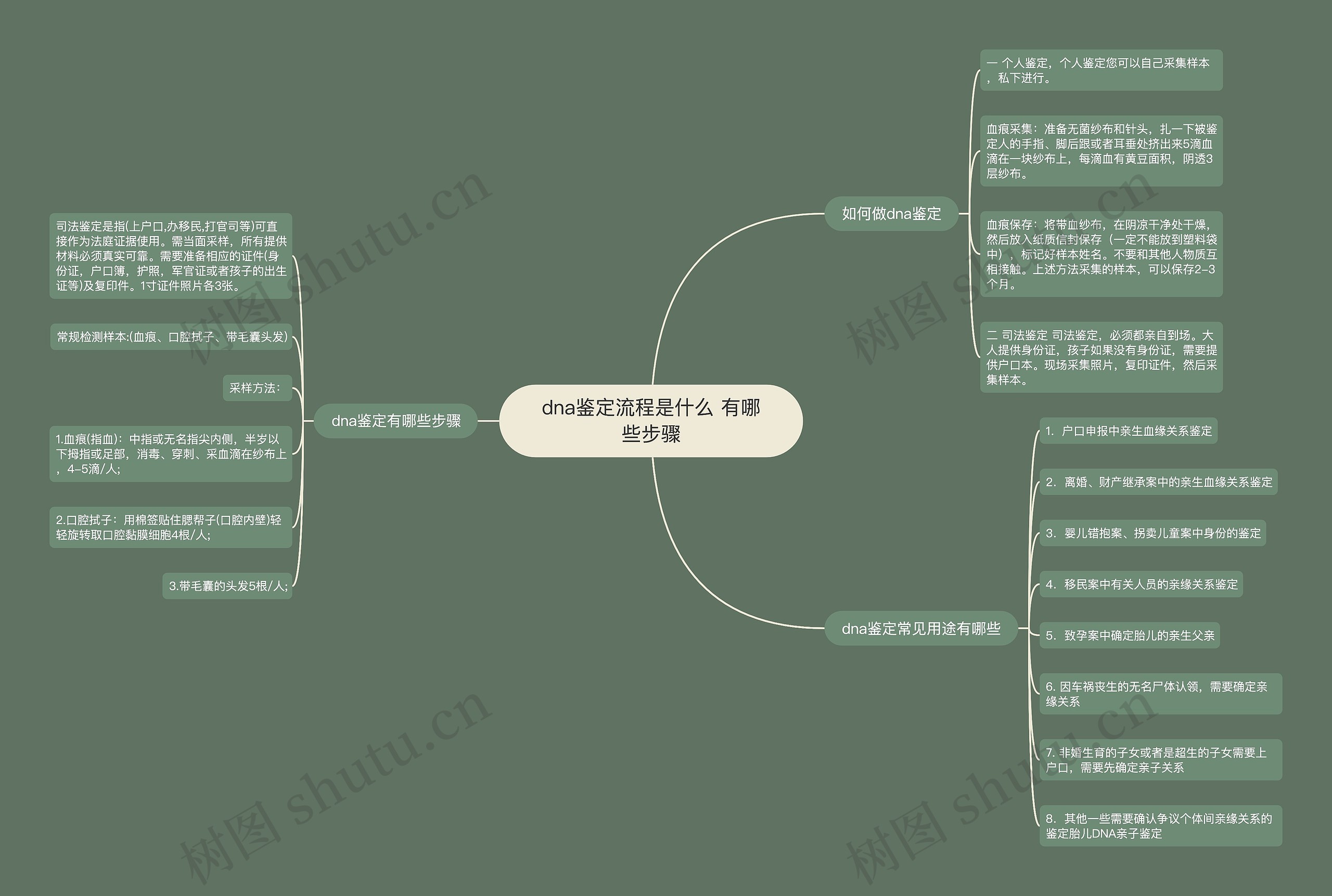 dna鉴定流程是什么 有哪些步骤思维导图