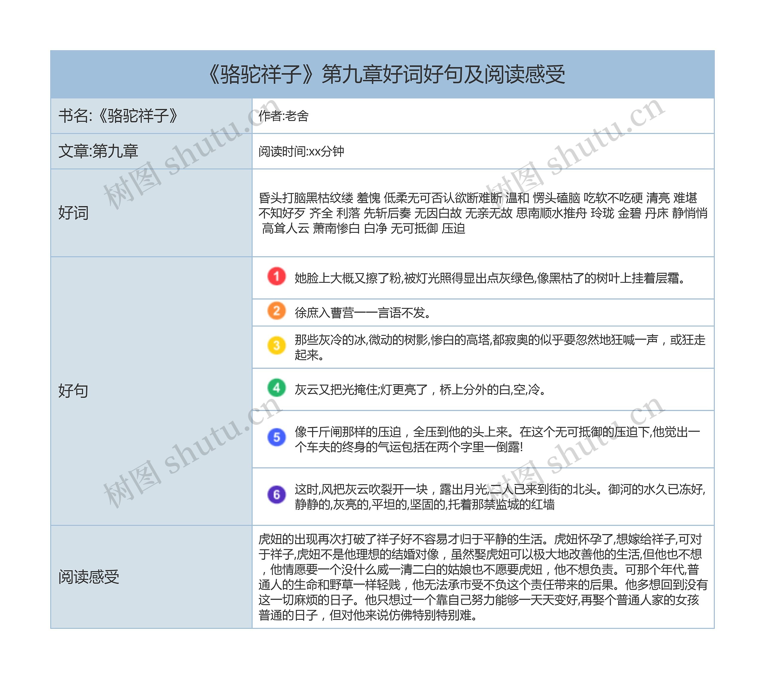 《骆驼祥子》第九章好词好句及阅读感受