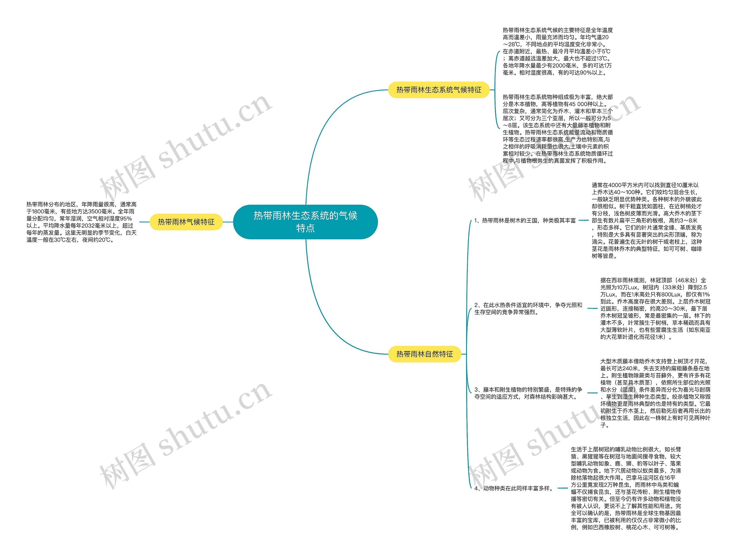 热带雨林生态系统的气候特点思维导图