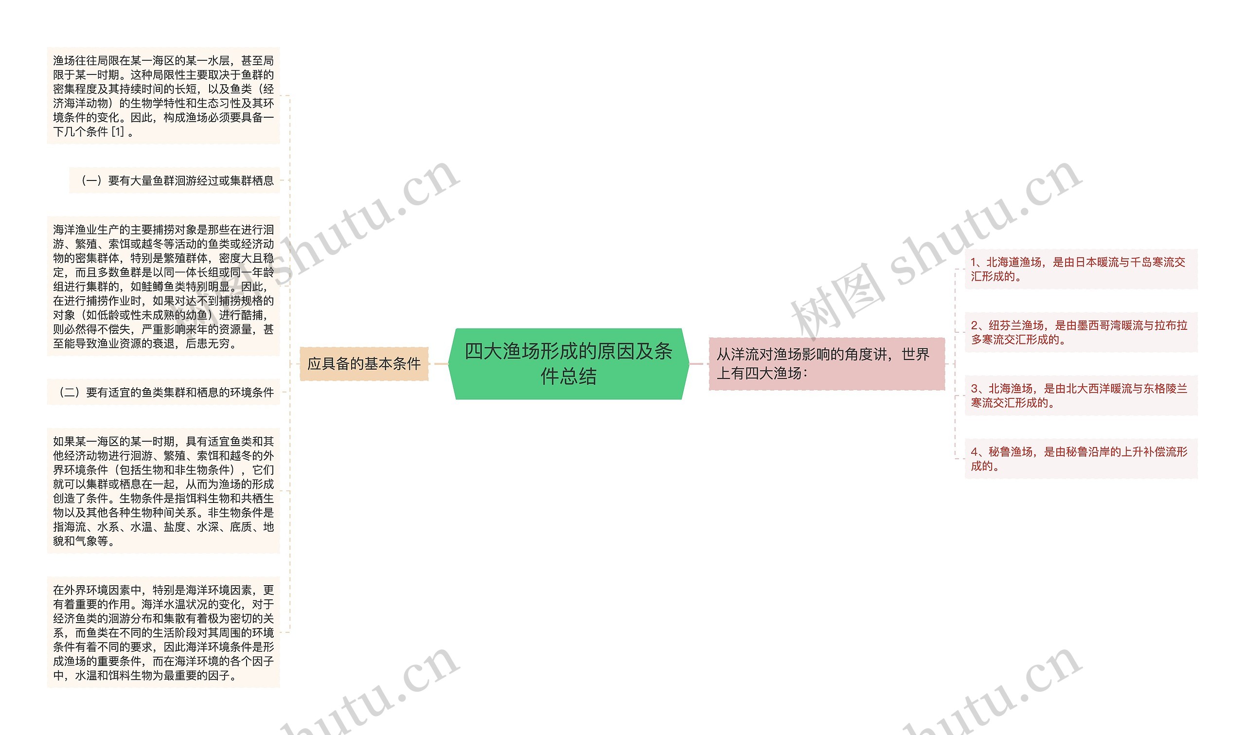 四大渔场形成的原因及条件总结