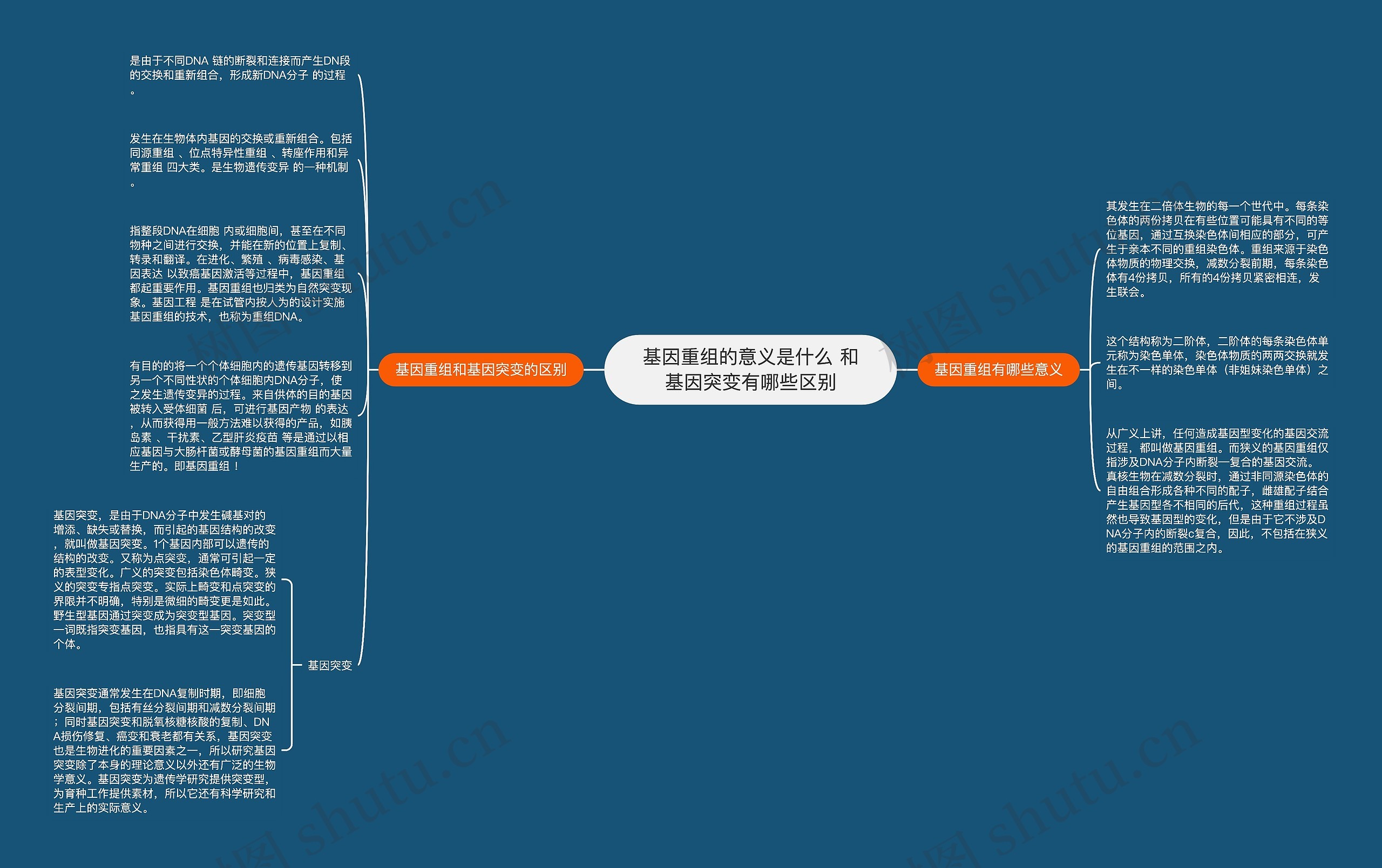 基因重组的意义是什么 和基因突变有哪些区别