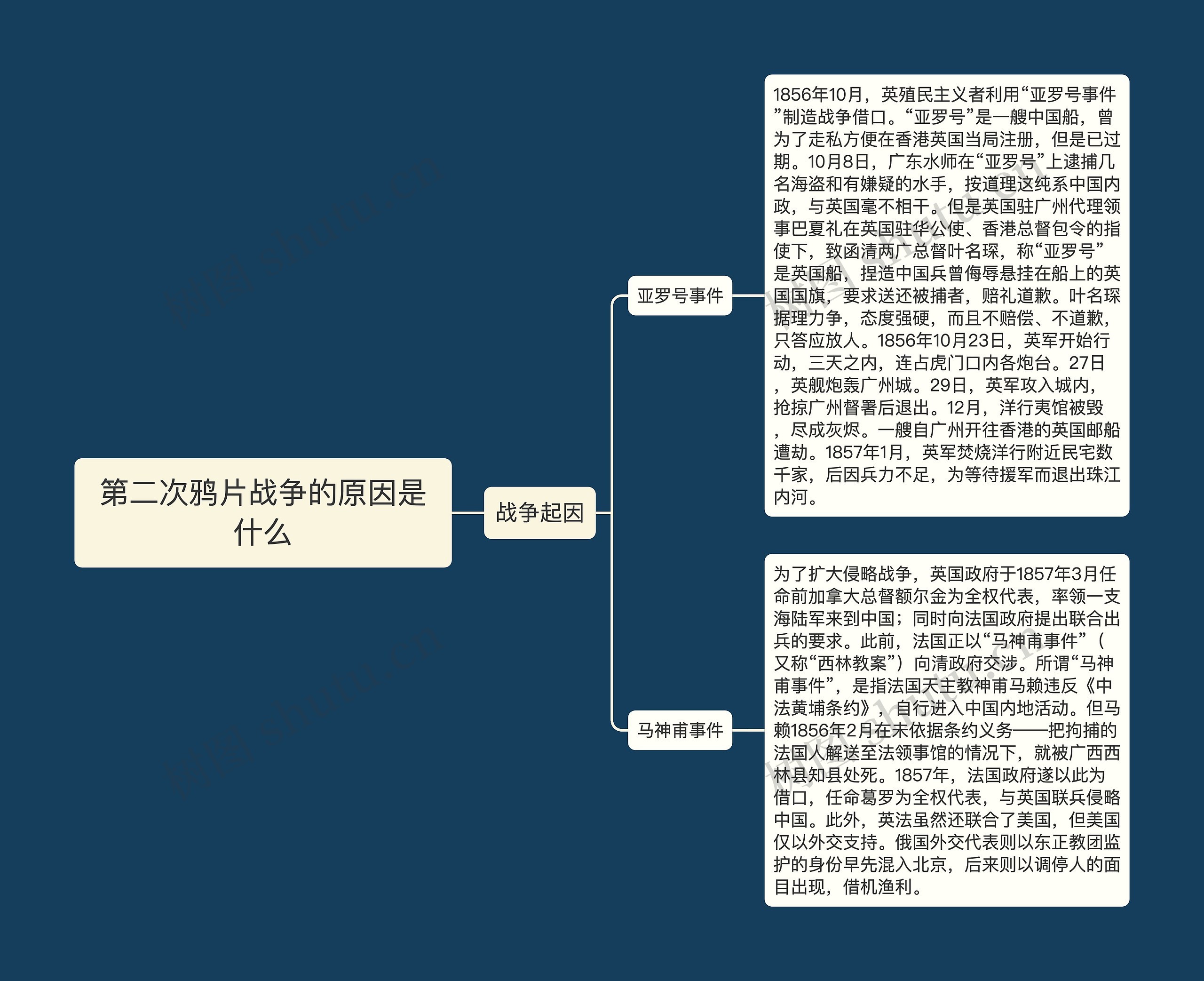 第二次鸦片战争的原因是什么