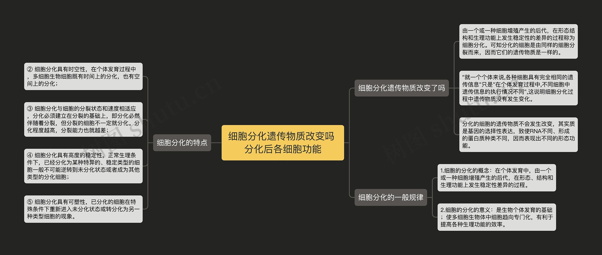 细胞分化遗传物质改变吗 分化后各细胞功能思维导图