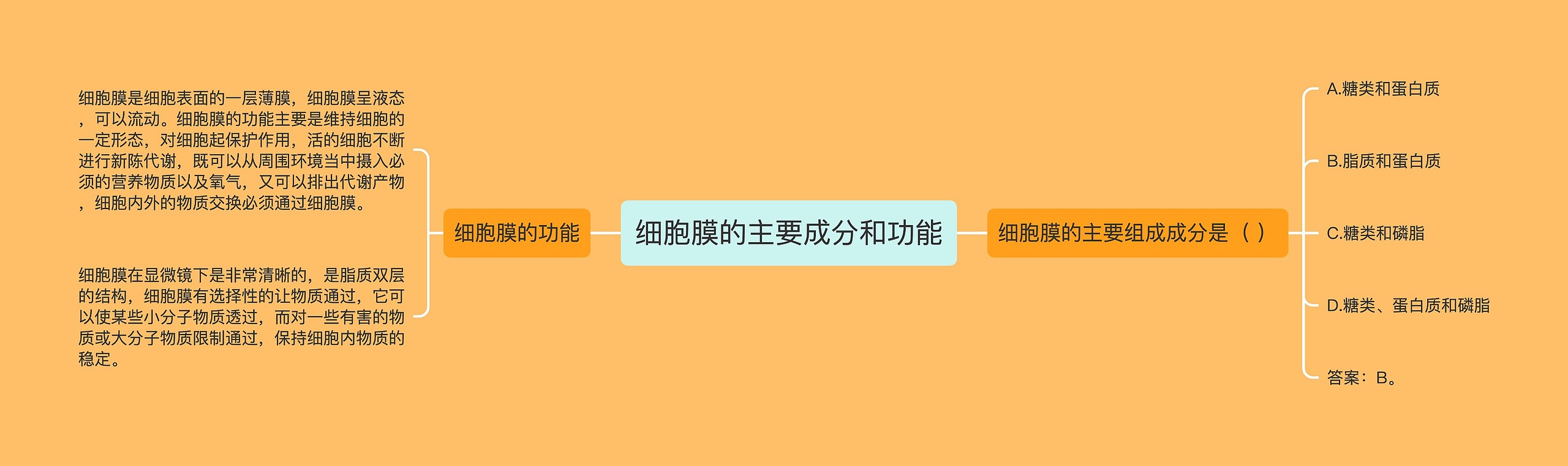 细胞膜的主要成分和功能 细胞膜的主要成分和功能