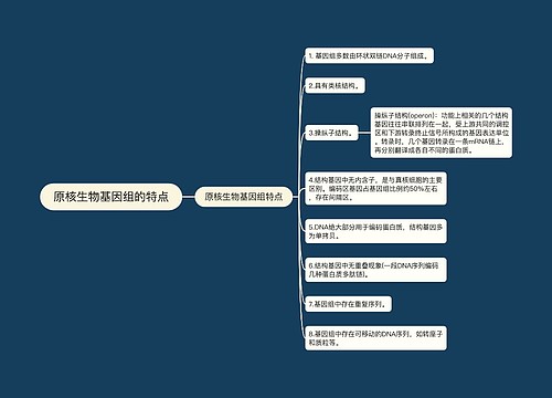 原核生物基因组的特点