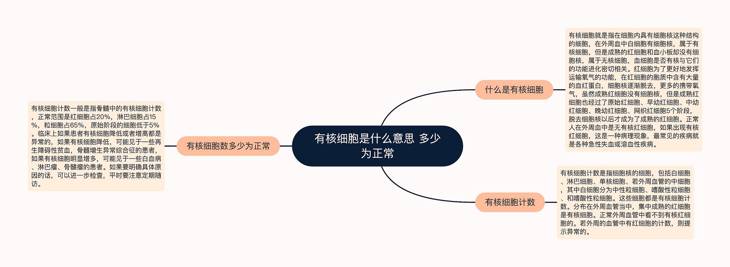 有核细胞是什么意思 多少为正常