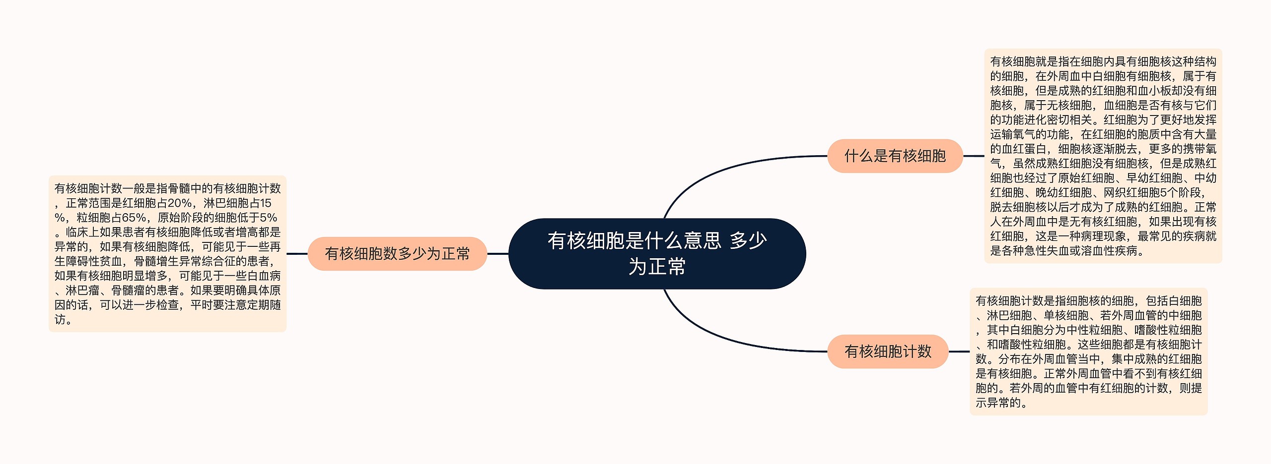 有核细胞是什么意思 多少为正常思维导图