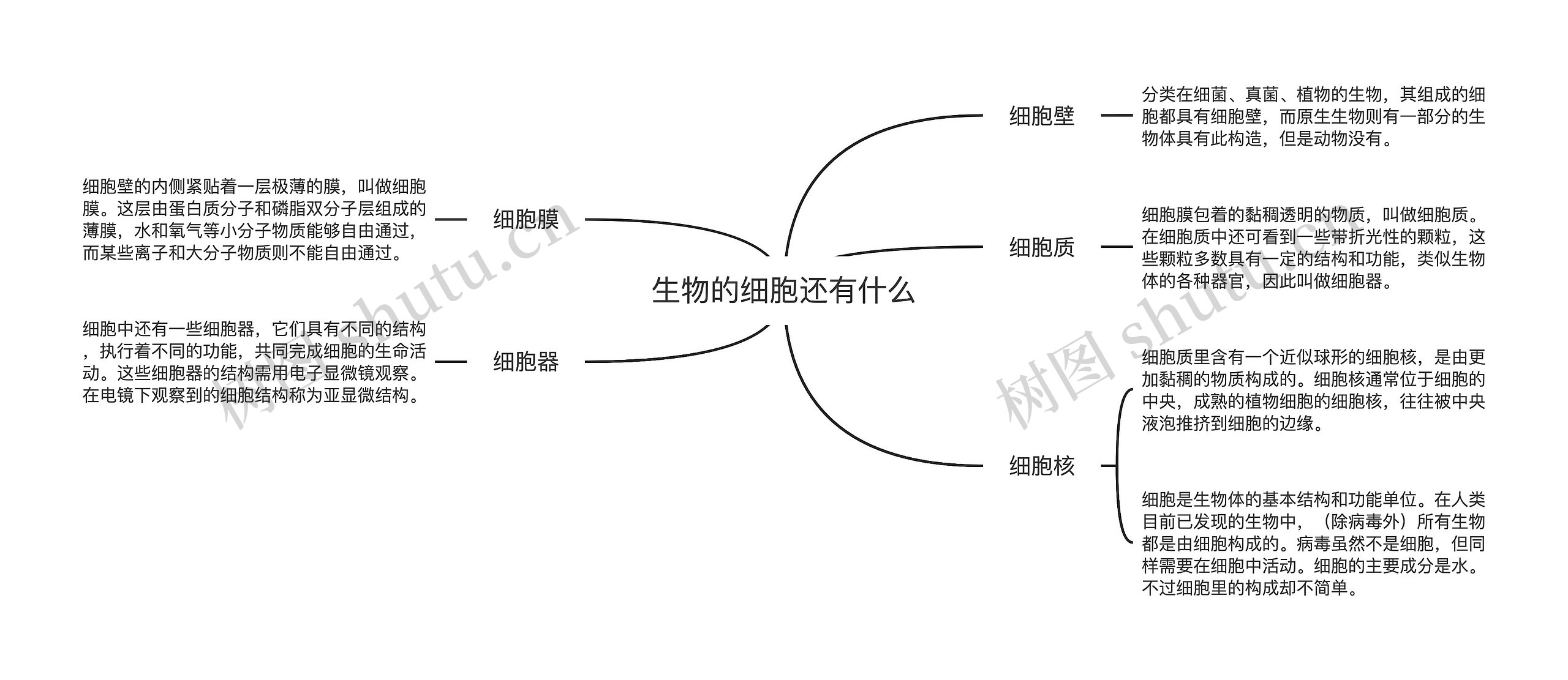 生物的细胞还有什么