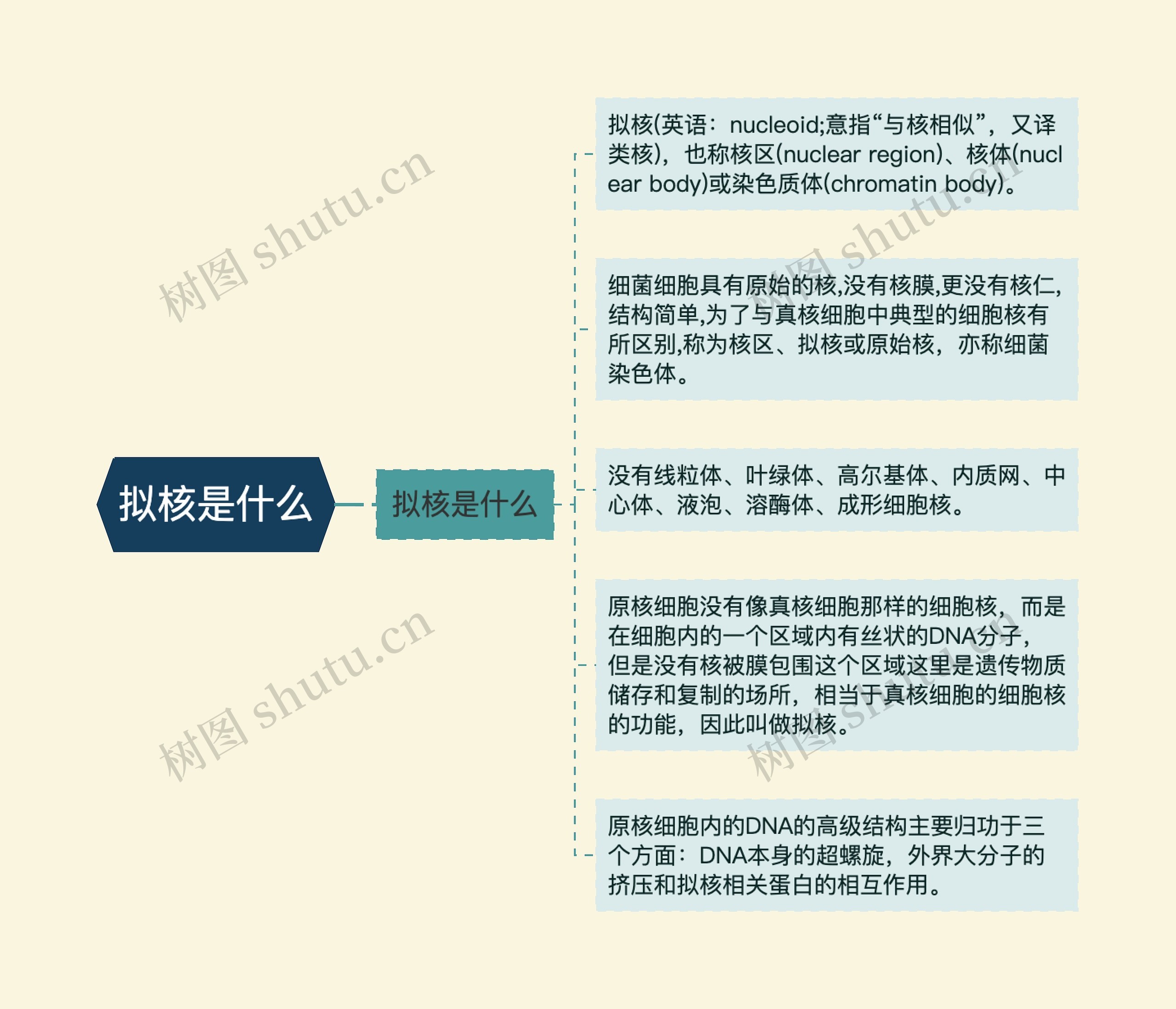 拟核是什么 拟核是什么