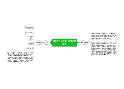 细菌是什么生物 原核还是真核